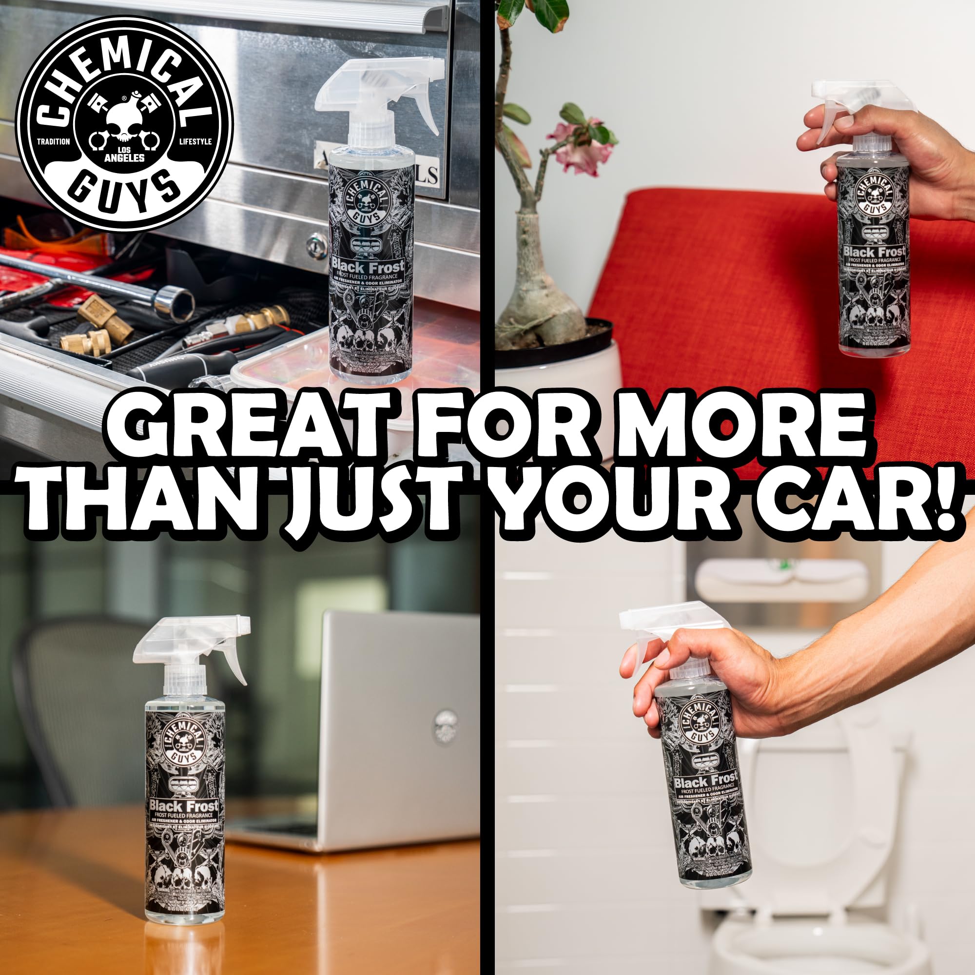 Chemical Guys Black Frost AIR_224_04 Air Freshener and Odor Eliminator, (Great for Cars, Trucks, SUVs, RVs, Home, Office, Dorm Room & More) 4 fl oz