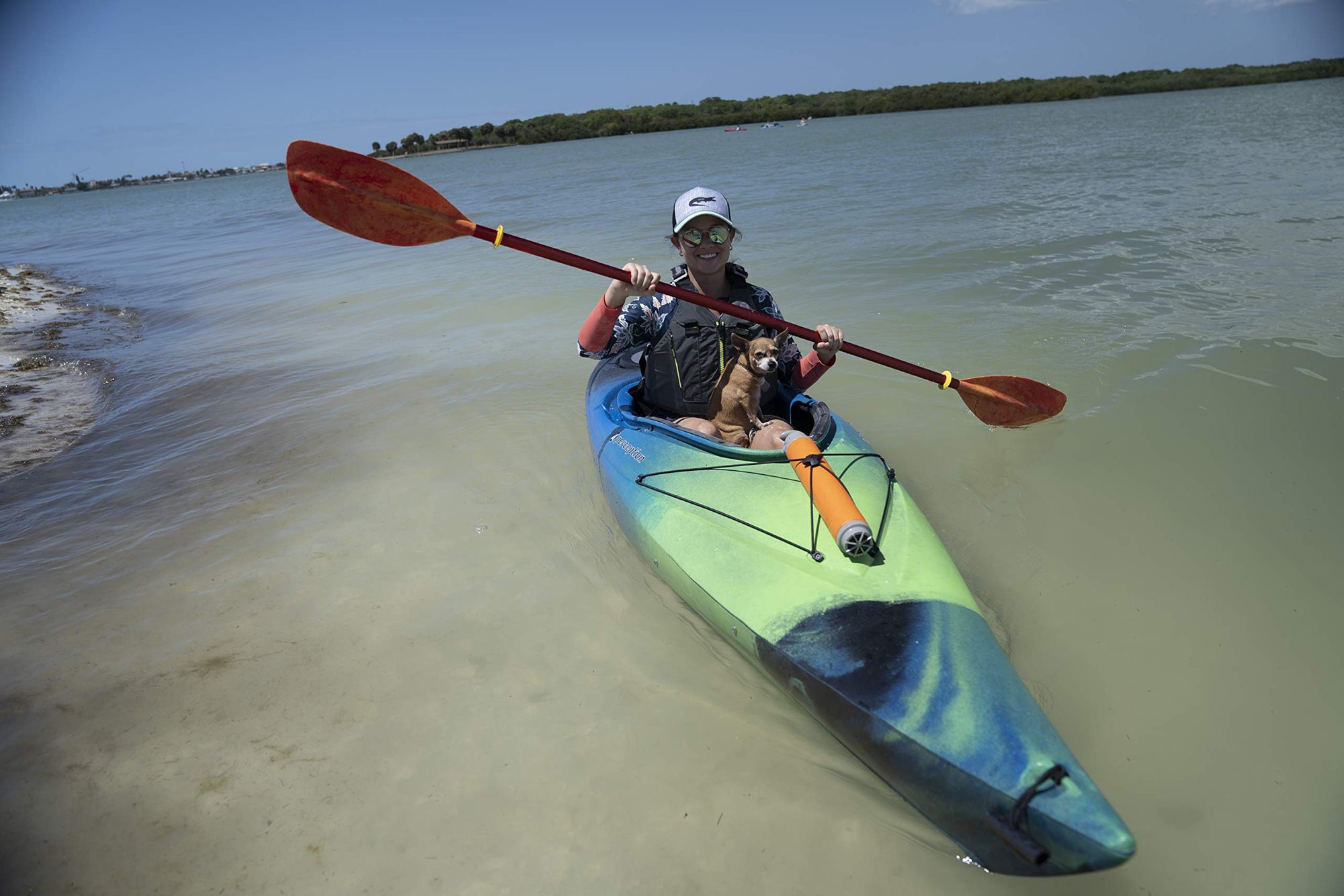 Kayak Perception Universal Paddle (2 Piece), Lime/Blue, 230cm/90.5"