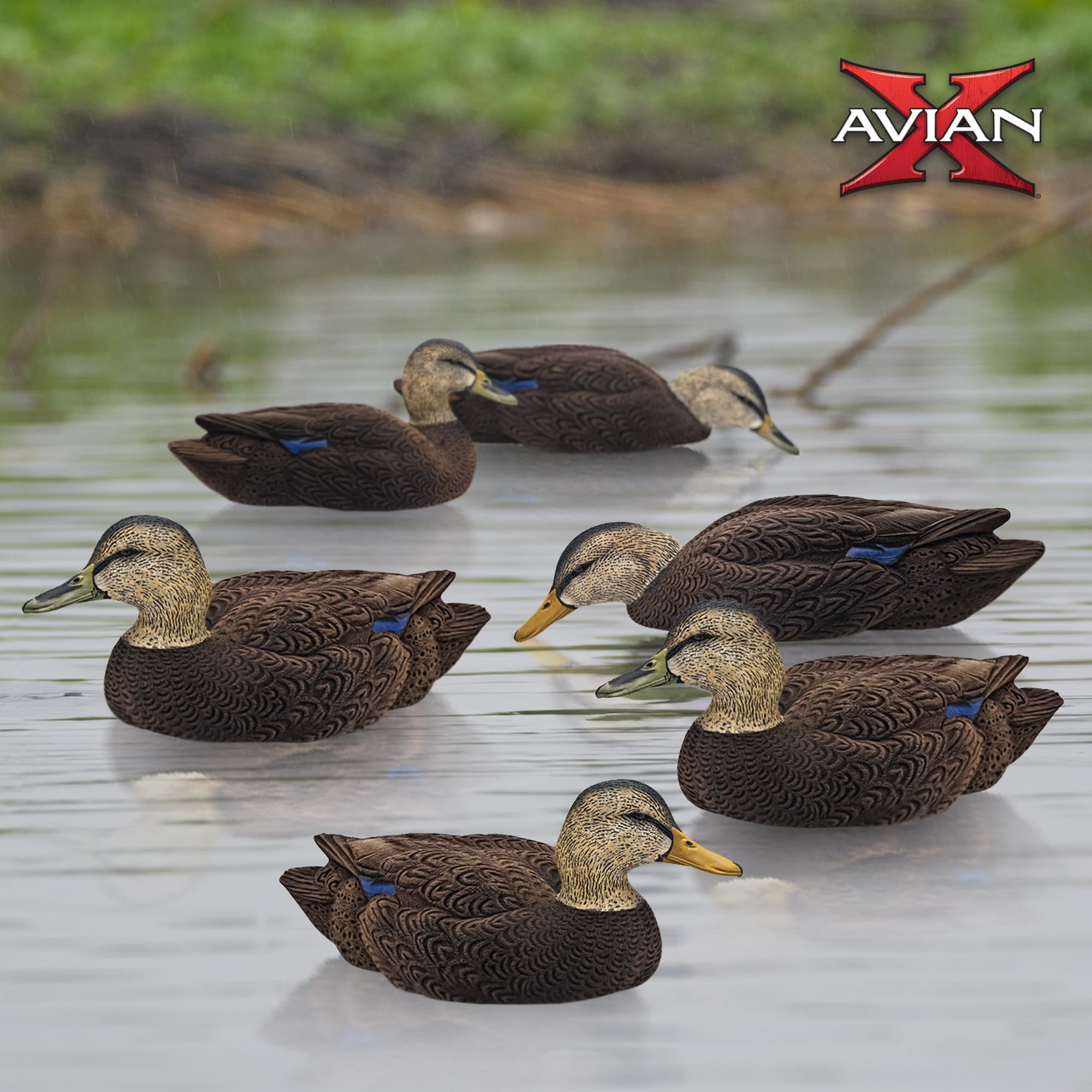 Black Duck Decoys Topflight: Realistic, Durable, and Motion-Activated Flocking (6 True-to-Life Postures)