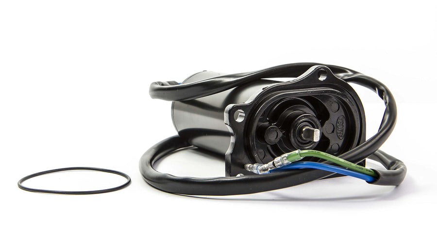 18-6286 Sierra International, Tilt/Trim Motor