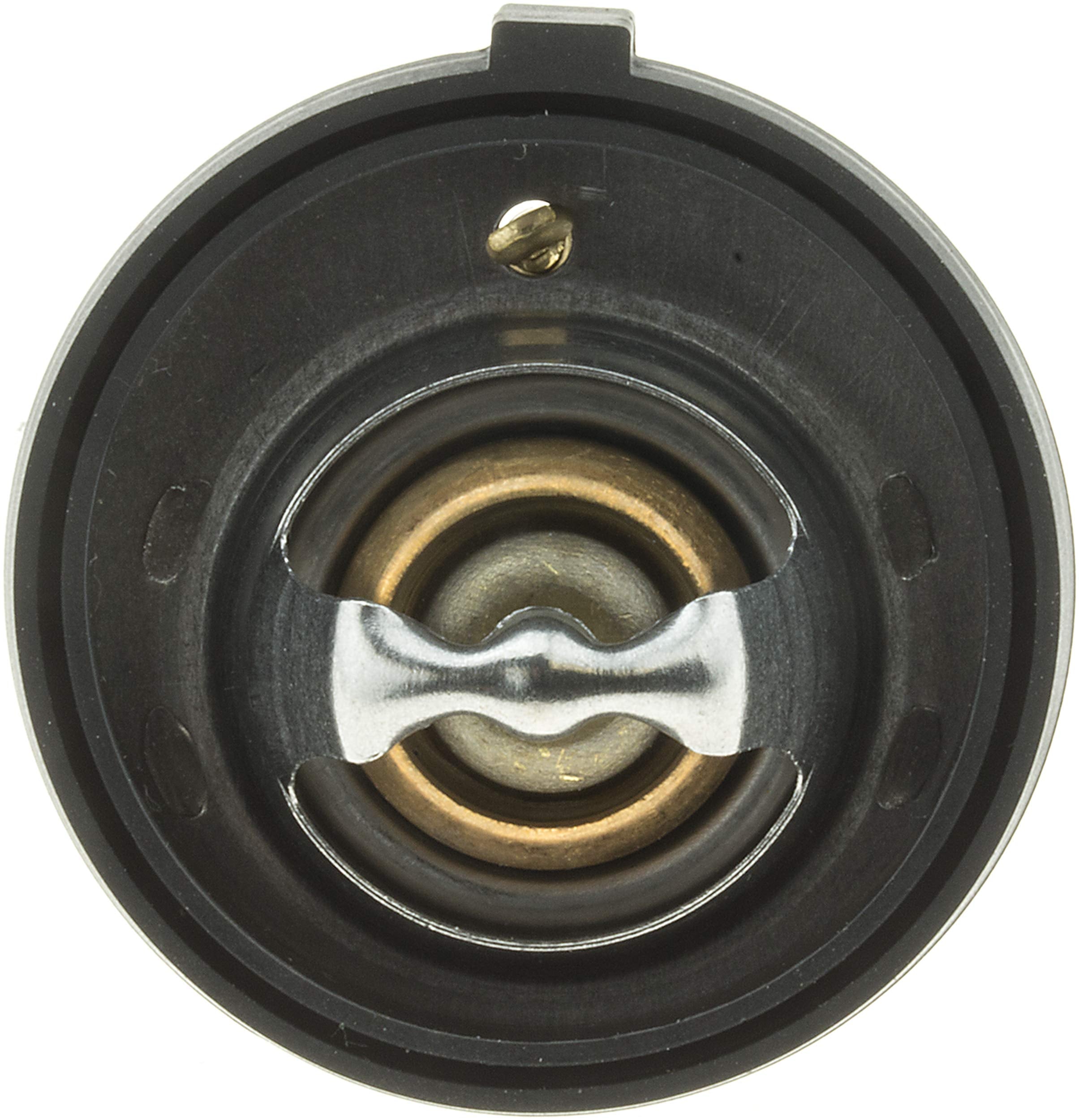 Thermostat Gates 33849