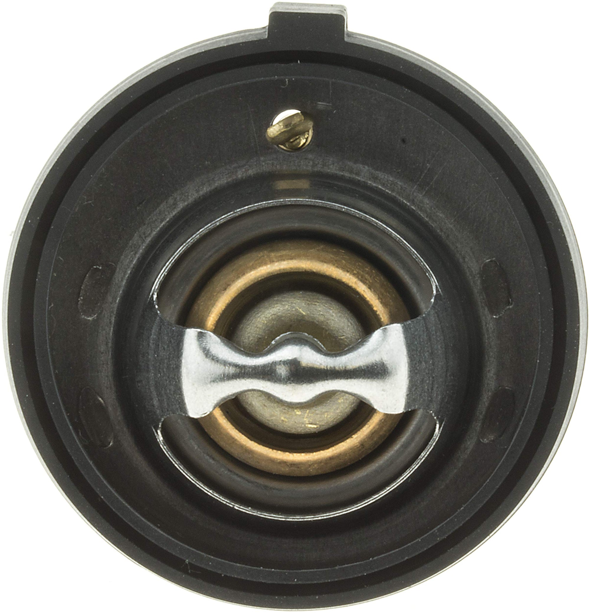 Thermostat Gates 33849