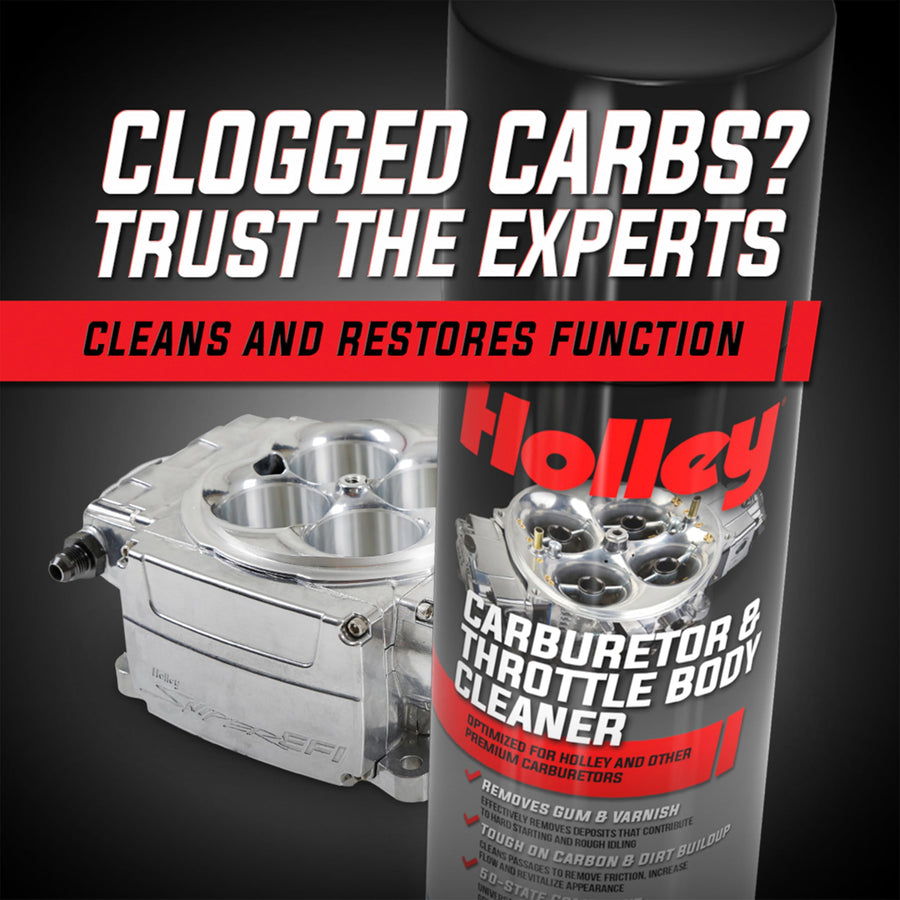Throttle Body and Holley Carburetor Cleaner Spray, 18 oz Can - Removes Dirt, Gum, and Carbon Buildup Deposits, Degreaser - Including Carb Linkages, Plates, and Valves