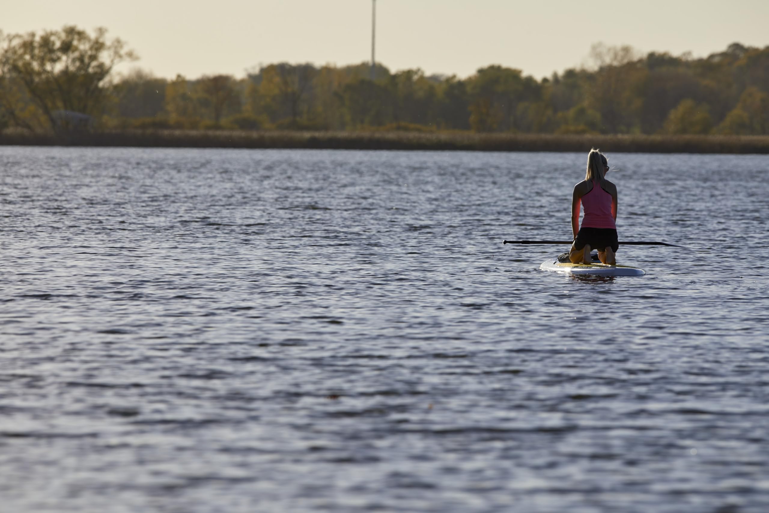 Palm Series Shoreline Stand Up Paddle Board