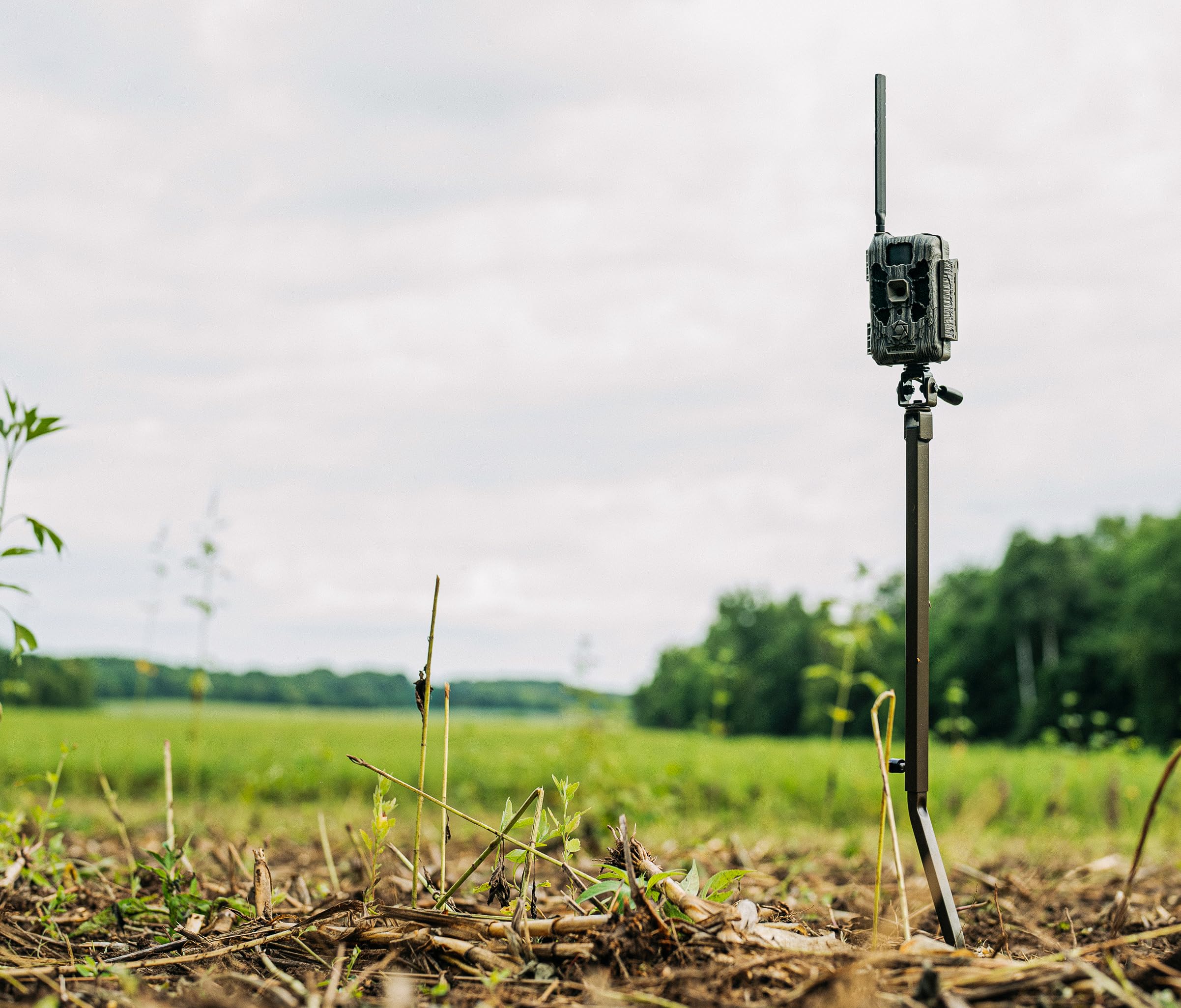 Stealth Cam Deceptor 80ft Detection & IR Range No Glo 40MP Photo 1440P HD Video Capture Remote App Control Wireless Hunting Cellular Trail Camera - Available on AT&T & Verizon