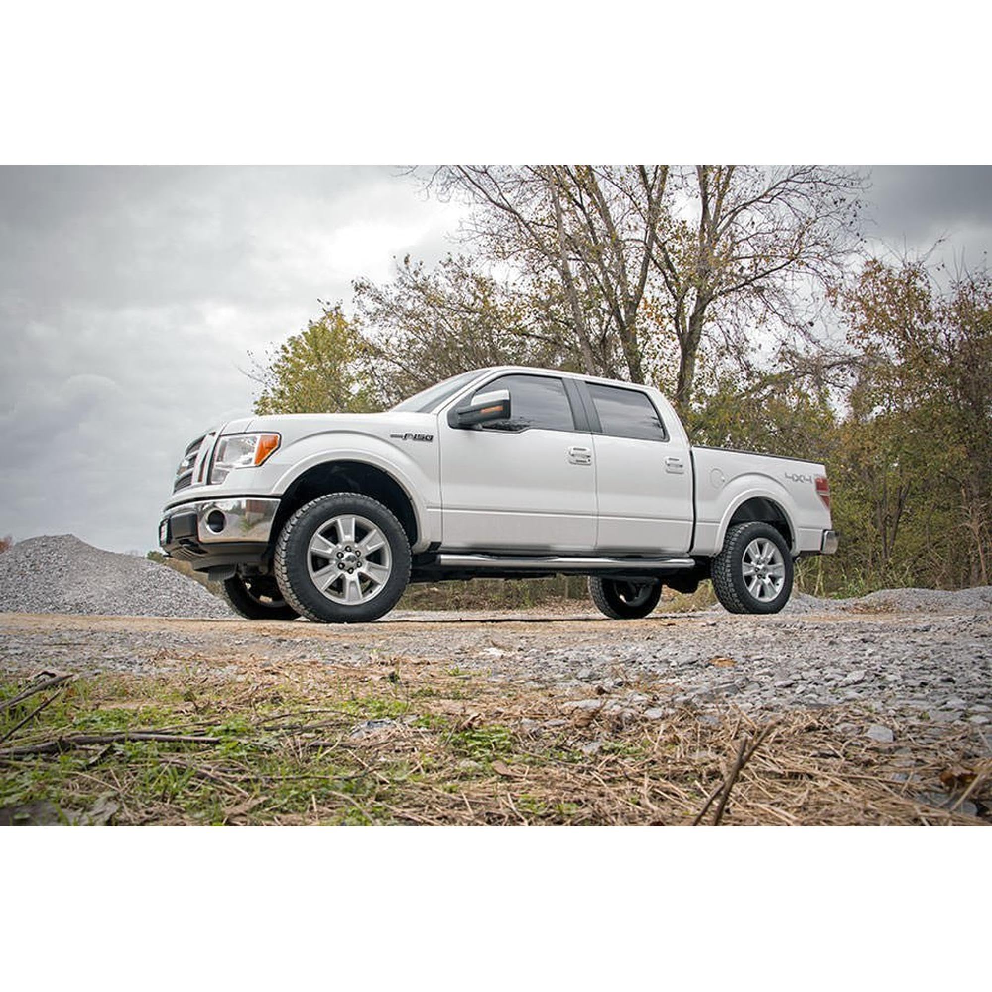 2" Rough Country Leveling Lift Kit w/M1 Struts for 09-13 Ford F-150 4WD - 56840