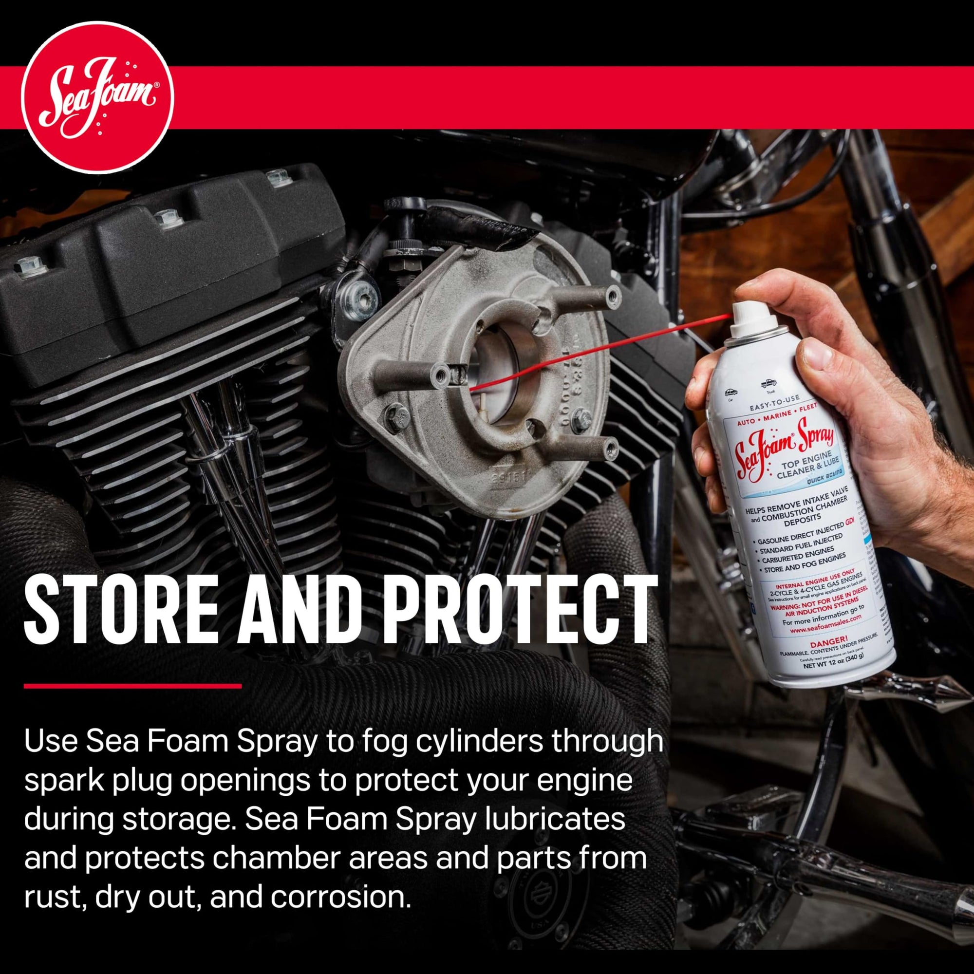 Sea Foam Engine Intake Valve Cleaner Spray, SS14, 14 oz