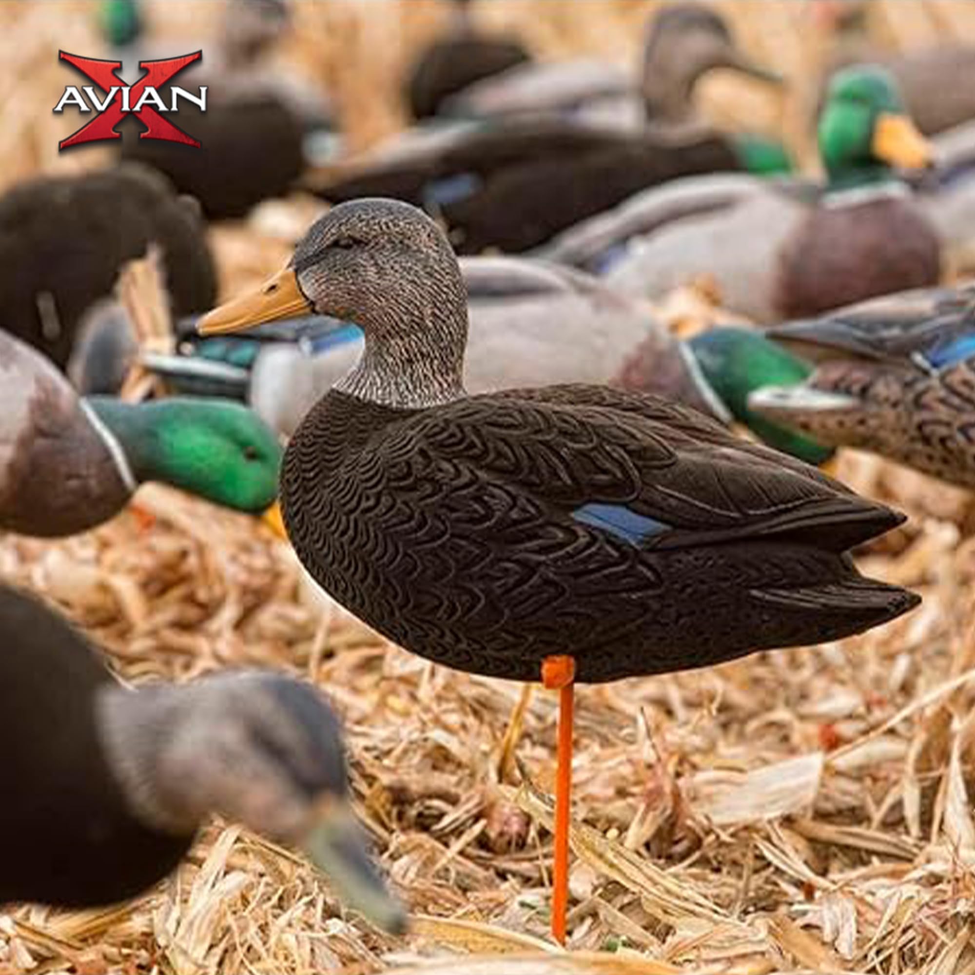AXF Avian-X 6 Piece Flocked Full Body Black Ducks Fusion Pack with Rugged Durability and Custom Fitted Bag for Hunting Use, Outdoor Sports, and Recreation