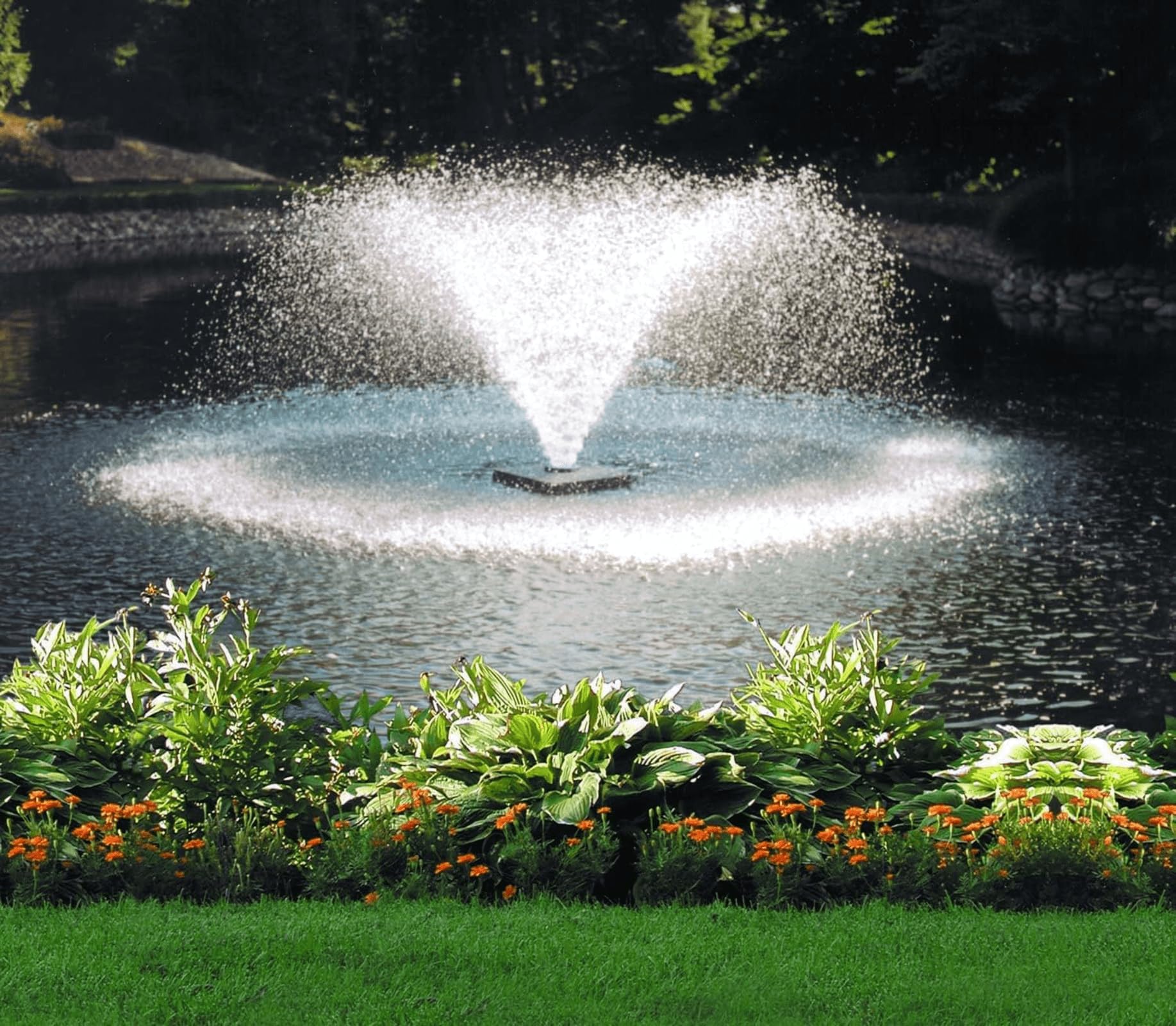 Scott Aerator DA-20 Pond Aerator Display - 1/3 Horse Power 115V 70ft Cord | Aerating Pond Fountain for Up to 3/4 Acre | Pond Aerator Pump for Small Ponds | Pond Aeration System
