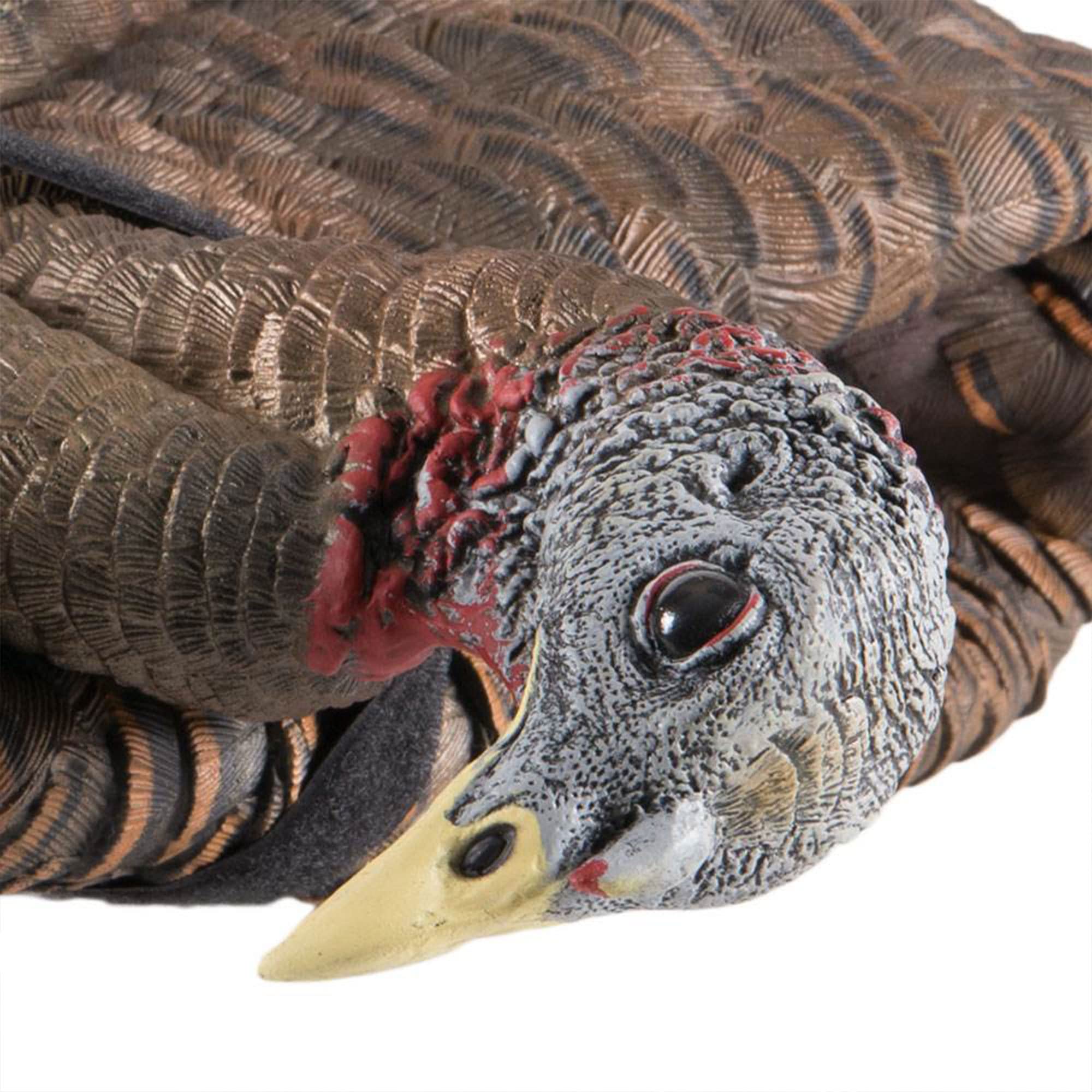 AVIAN-X LCD Turkey Breeder Hen Decoy | Durable Realistic Lifelike Collapsible Standing Hunting Decoy with Carry Bag & Stake, AVX8008