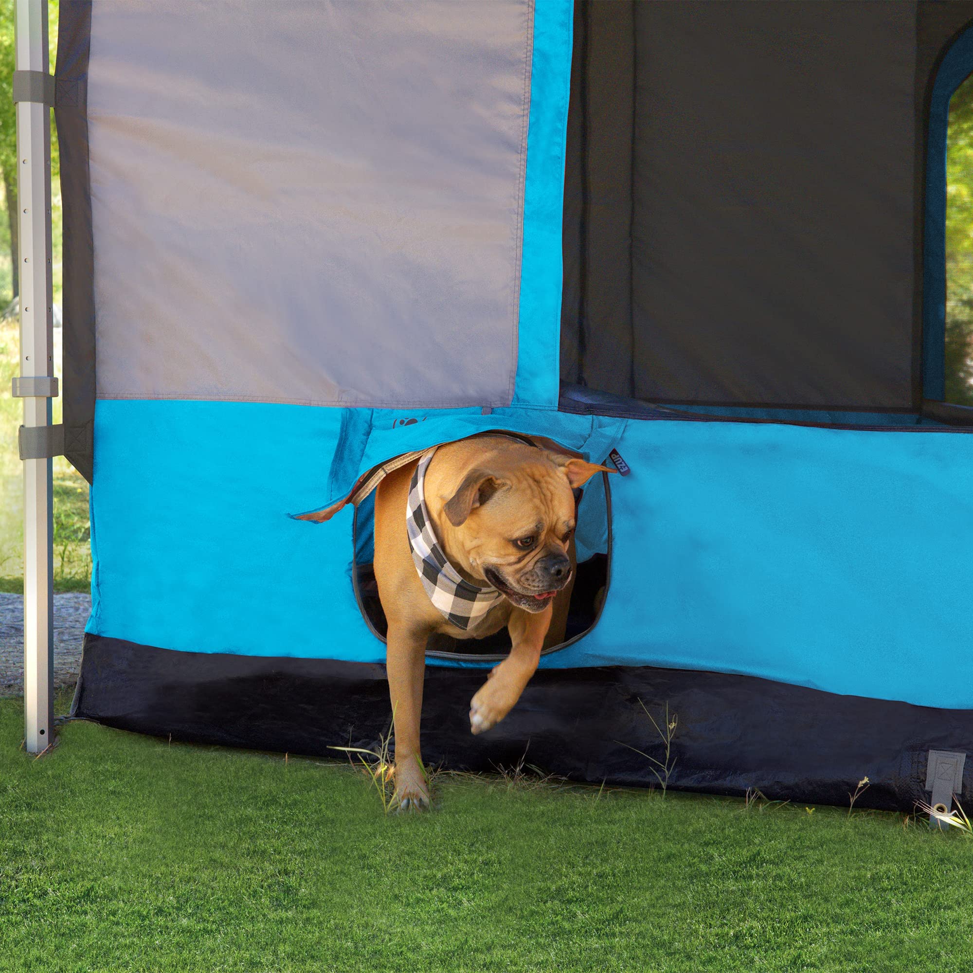 Camping Cube E-Z UP 6.4, Converts 10' Straight Leg Canopy into Camping Tent (Canopy/SHELTER NOT Included), Splash