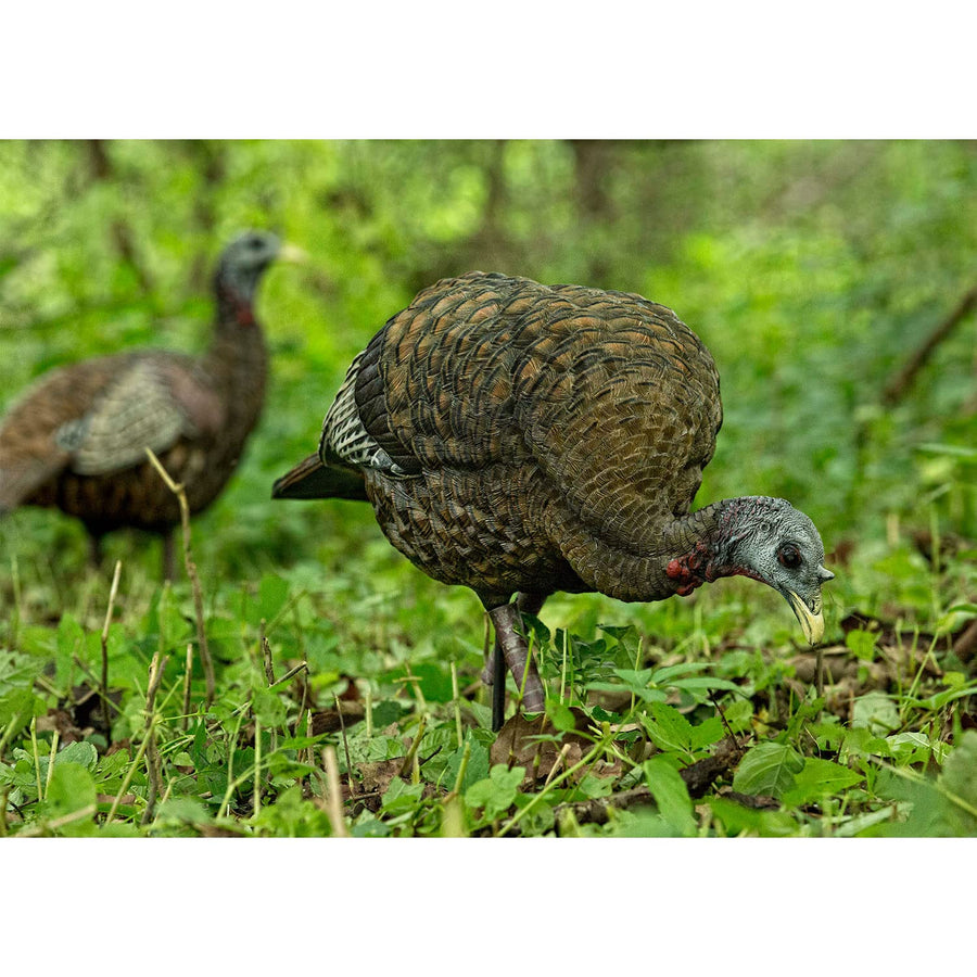 AVIAN-X Feeder LCD Turkey Hen Decoy | Durable Realistic Lifelike Collapsible Standing Hunting Decoy with Carry Bag & Stake, AVX8007