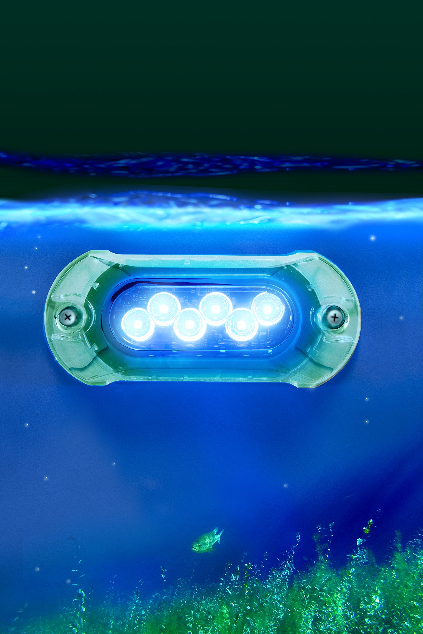 Lightarmor Attwood Ultra-Bright 6-LED 1,350 Lumen Underwater Light, Sapphire Blue