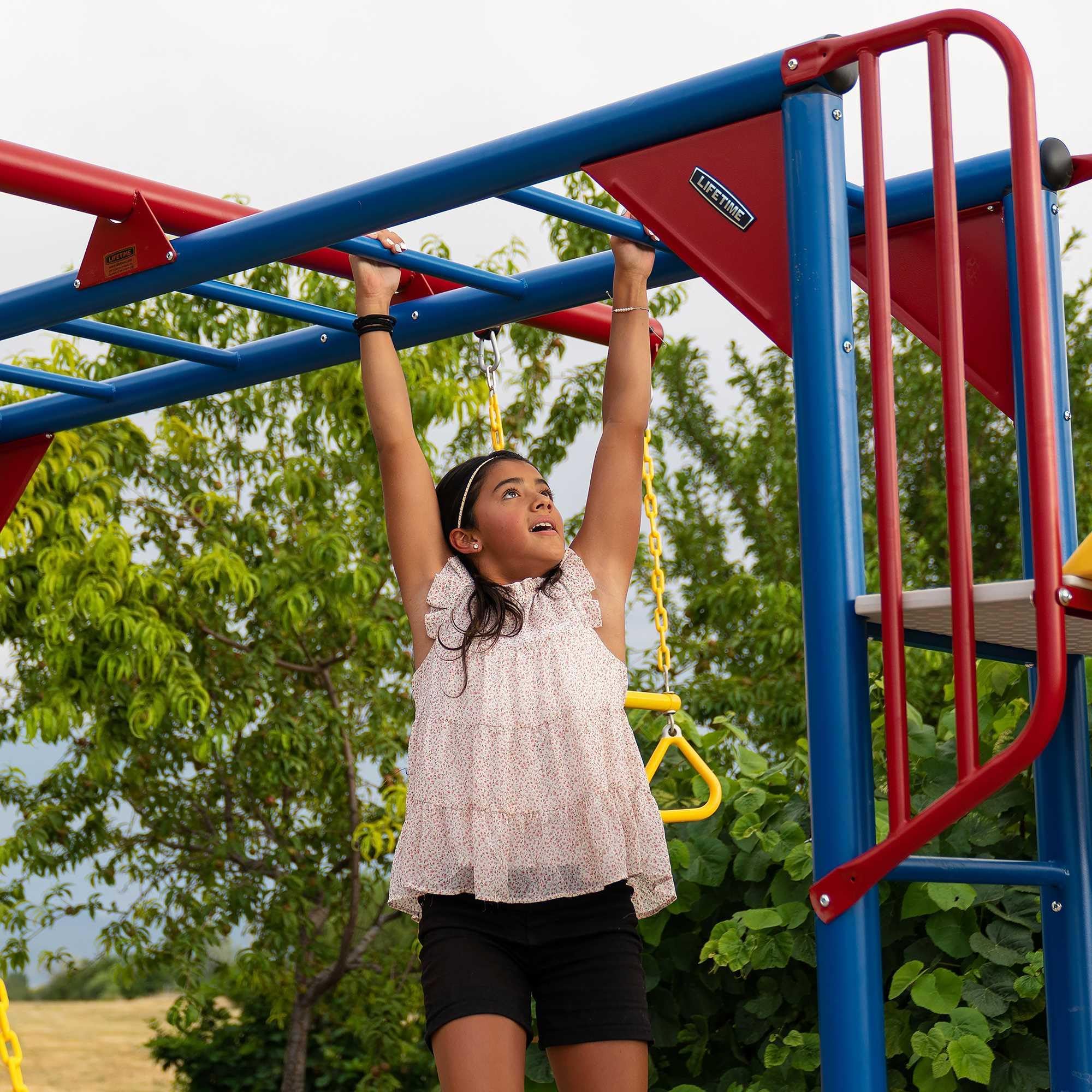 Big Stuff Lifetime Deluxe Swing Set Playset, Primary