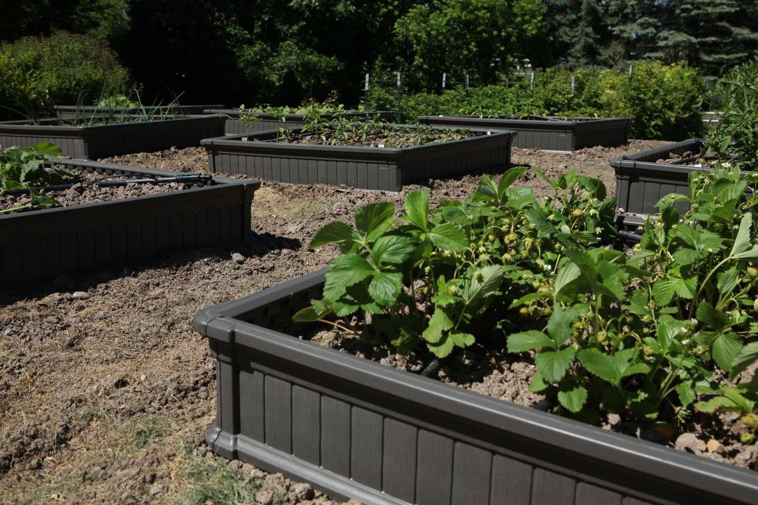60069 LIFETIME Raised Garden Bed Kit, 4 x 4', Brown