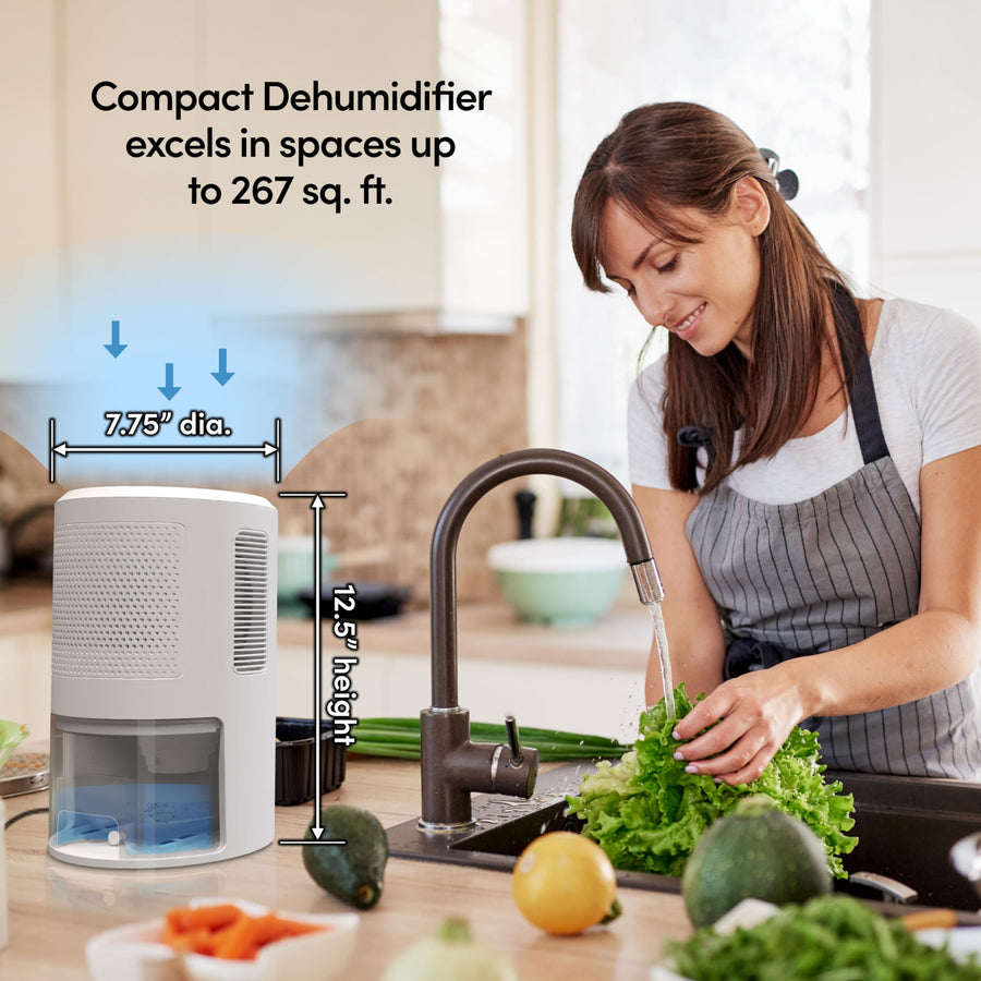 Eva-Dry EDV-2400 Dehumidifier Compact and Powerful | Eliminate Moisture | Energy Efficient | Quiet | Portable | Includes 3-Foot Drain Hose | Ideal for Home, Office, and RV