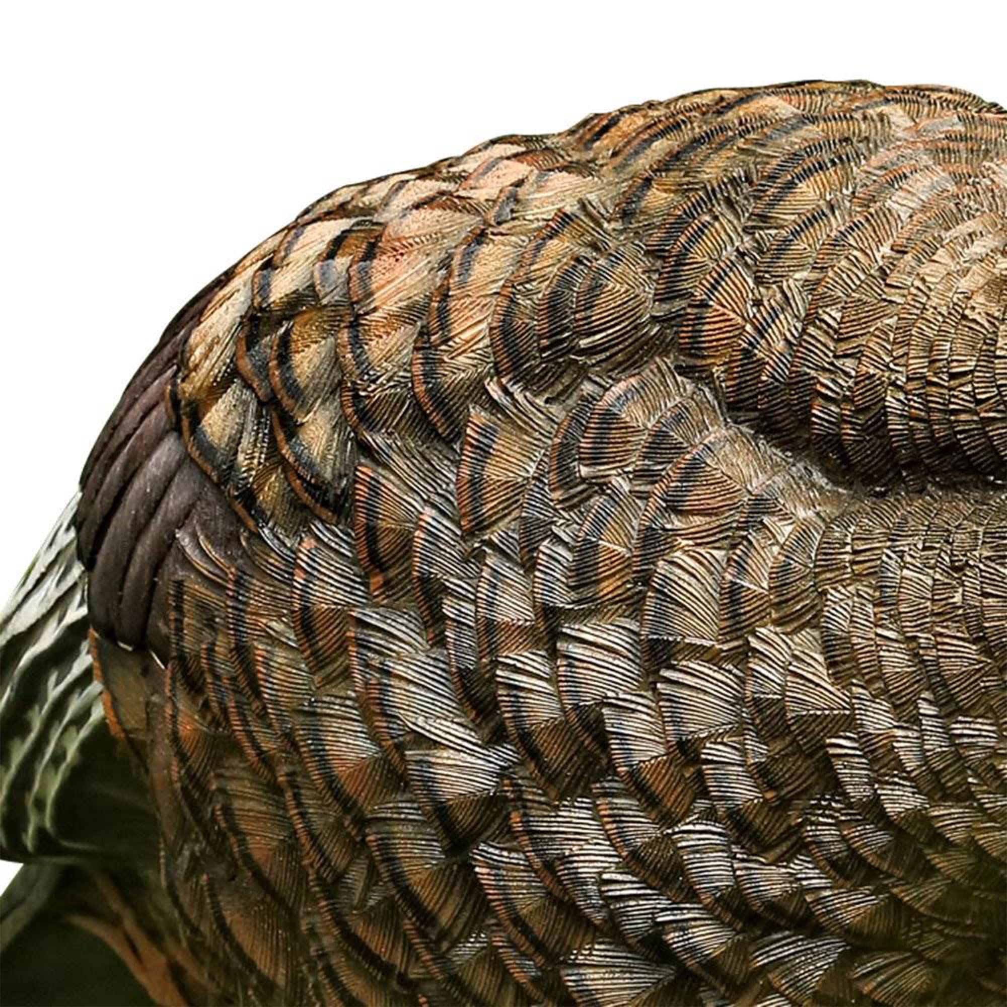 AVIAN-X LCD Turkey Breeder Hen Decoy | Durable Realistic Lifelike Collapsible Standing Hunting Decoy with Carry Bag & Stake, AVX8008