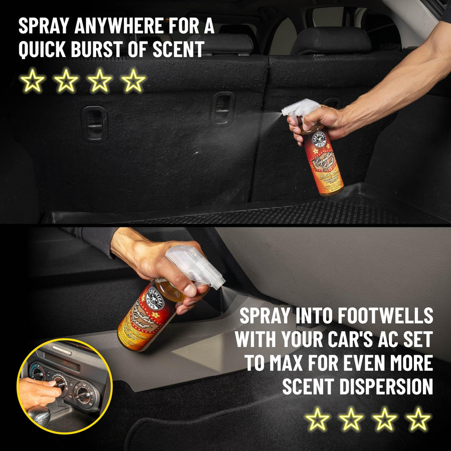 Chemical Guys Signature Scent AIR_069_16 Premium Air Freshener and Odor Eliminator, Smell of Success (Great for Cars, Trucks, SUVs, RVs, Home, Office & More) 16 fl oz