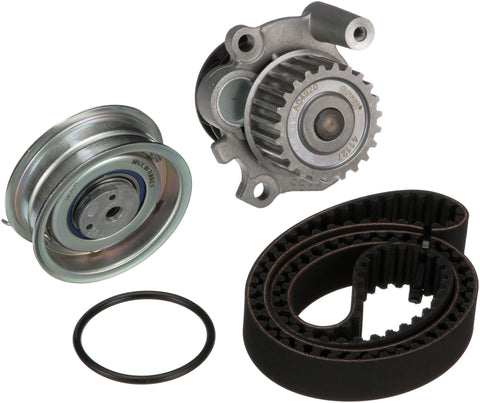 TCKWP296 Gates Kit