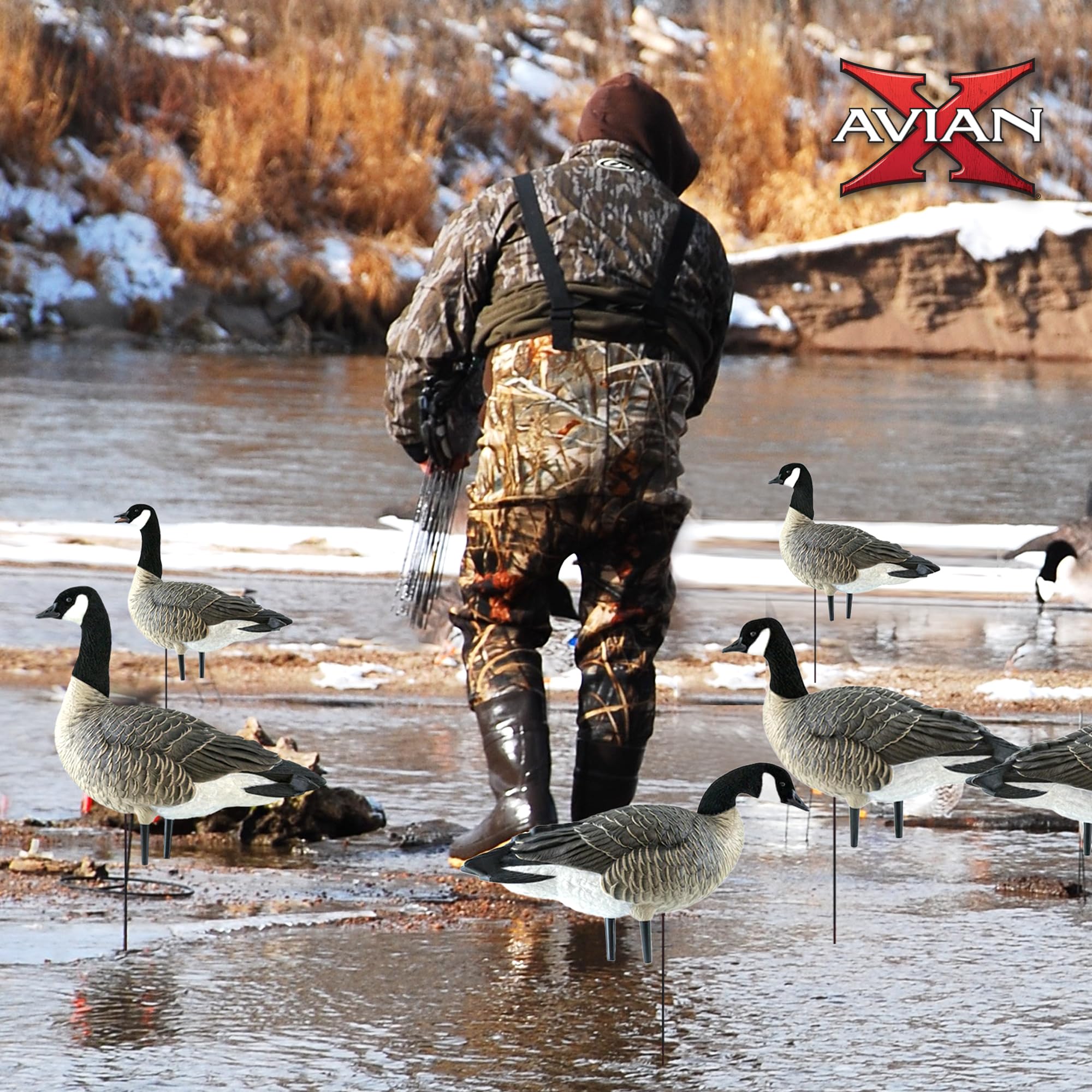Avian X AXP Fusion Pack Honkers Lesser Canada Goose Decoys, 5 Oversized Active Postures, No Flake Paint, Flocked Heads, and Included Bag