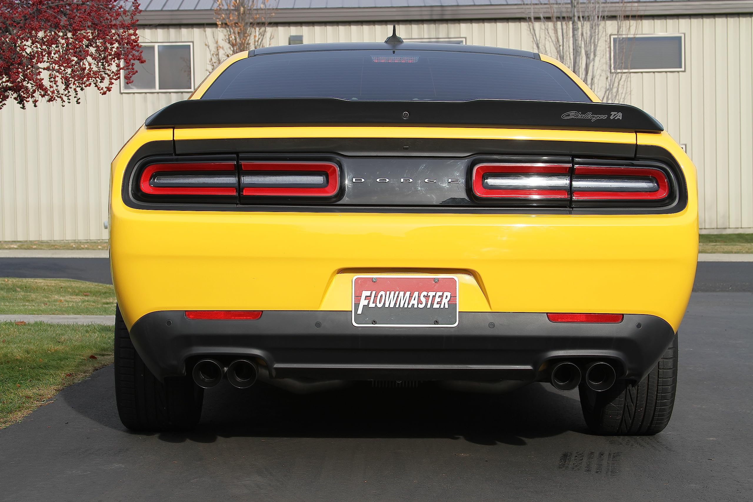 FlowFX Cat-back Exhaust System Flowmaster 717904