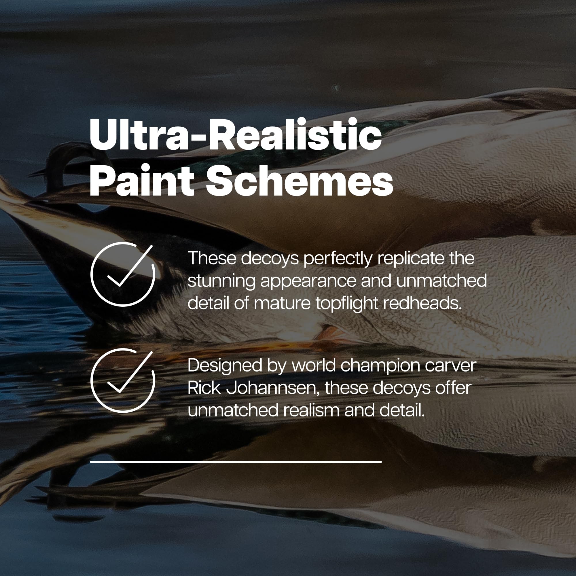 Avian-X Canvasback Magnum Decoys, Open Water, Realistic Design, Weight Forward Swim Keel, Rugged with No Flake Paint Finish, True to Life Postures