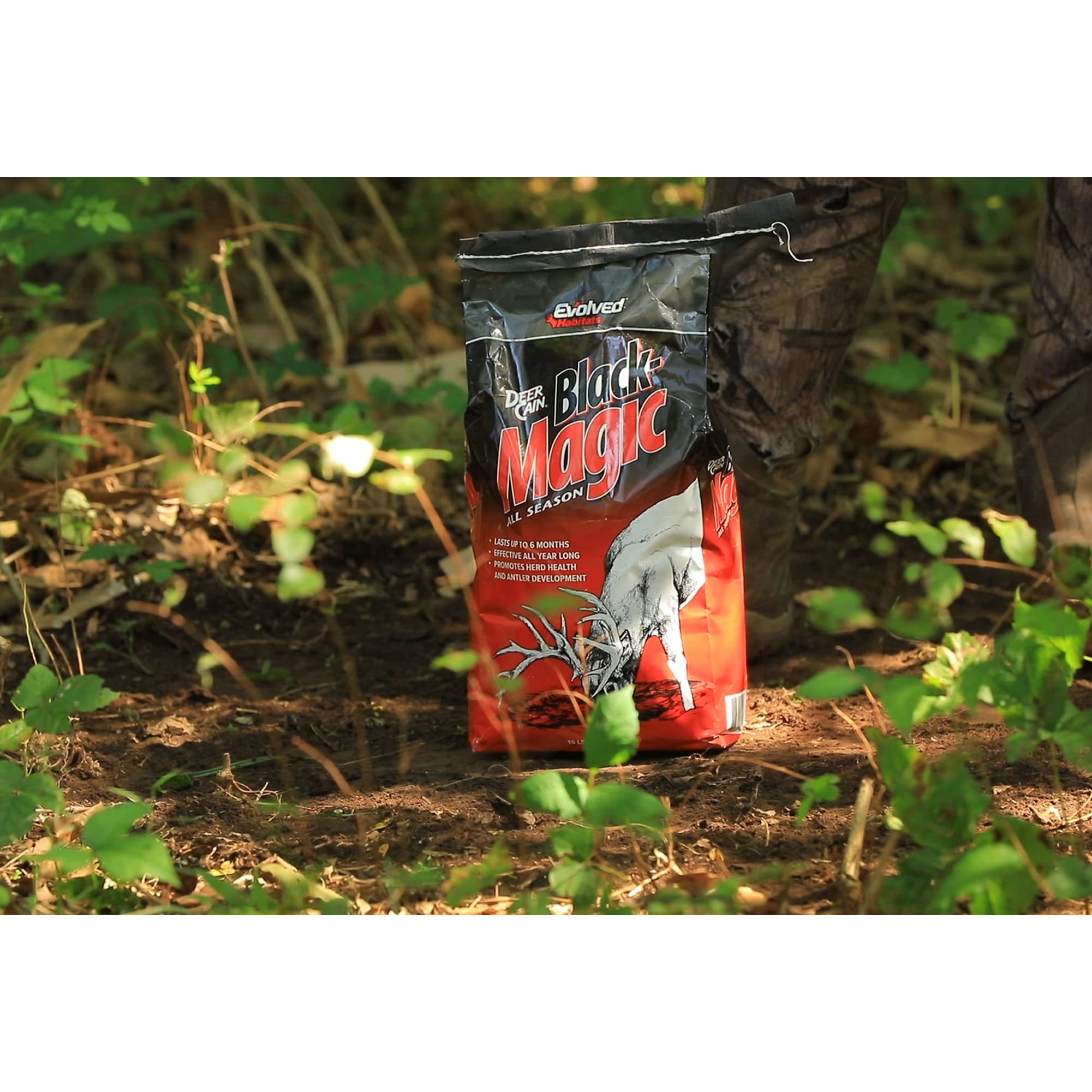Evolved Habitats Black Magic Deer Cane All Season Powder Attractant - 15 lbs Year-Round Long-Lasting Mineral Lick Food Supplement - Site Activator
