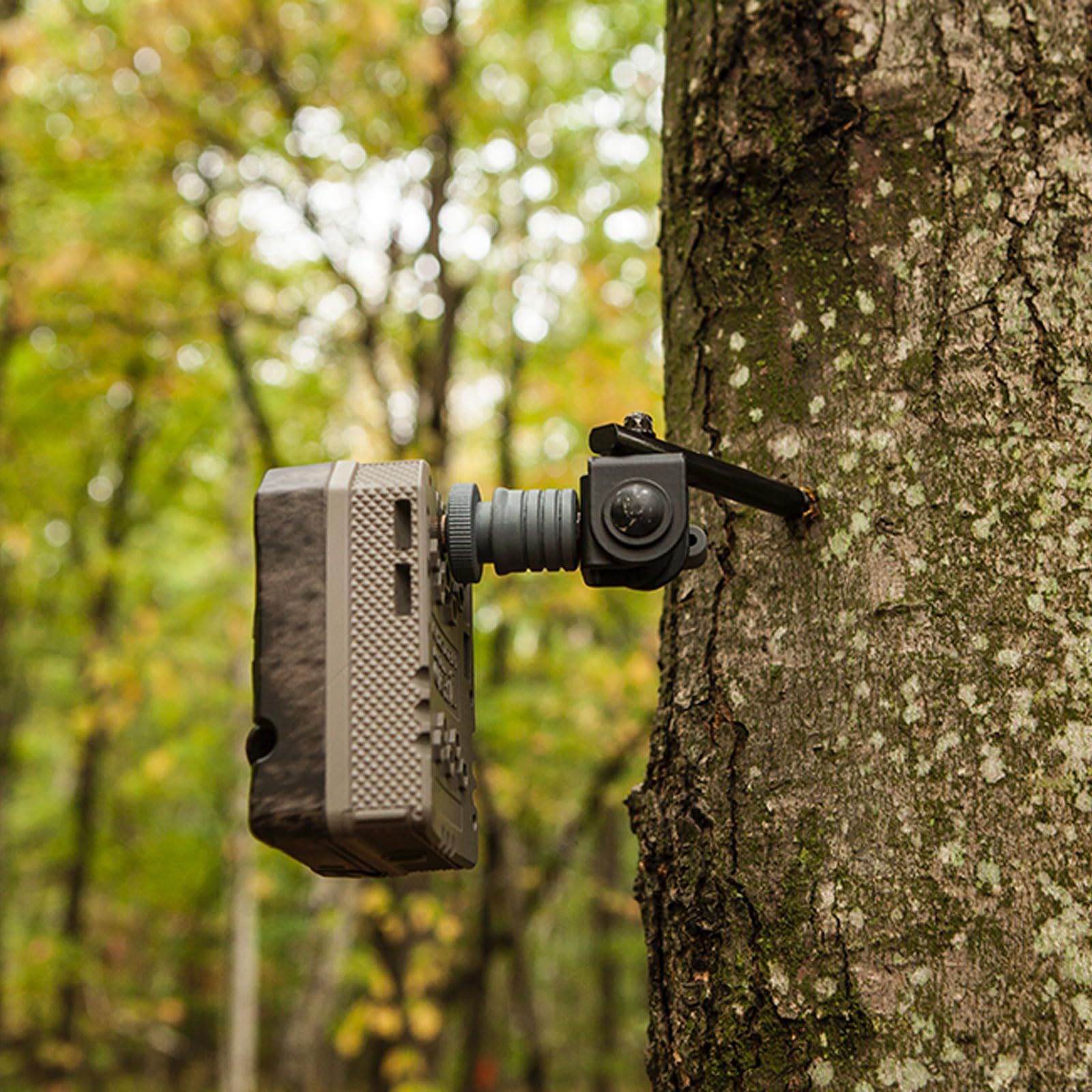 Muddy Adjustable Durable Steel Portable Easy-to-Install Quick Socket Adaptor Hunting Outdoor Trail Camera Speed Mount | Works on Cameras with 1/4" - 20 Threads
