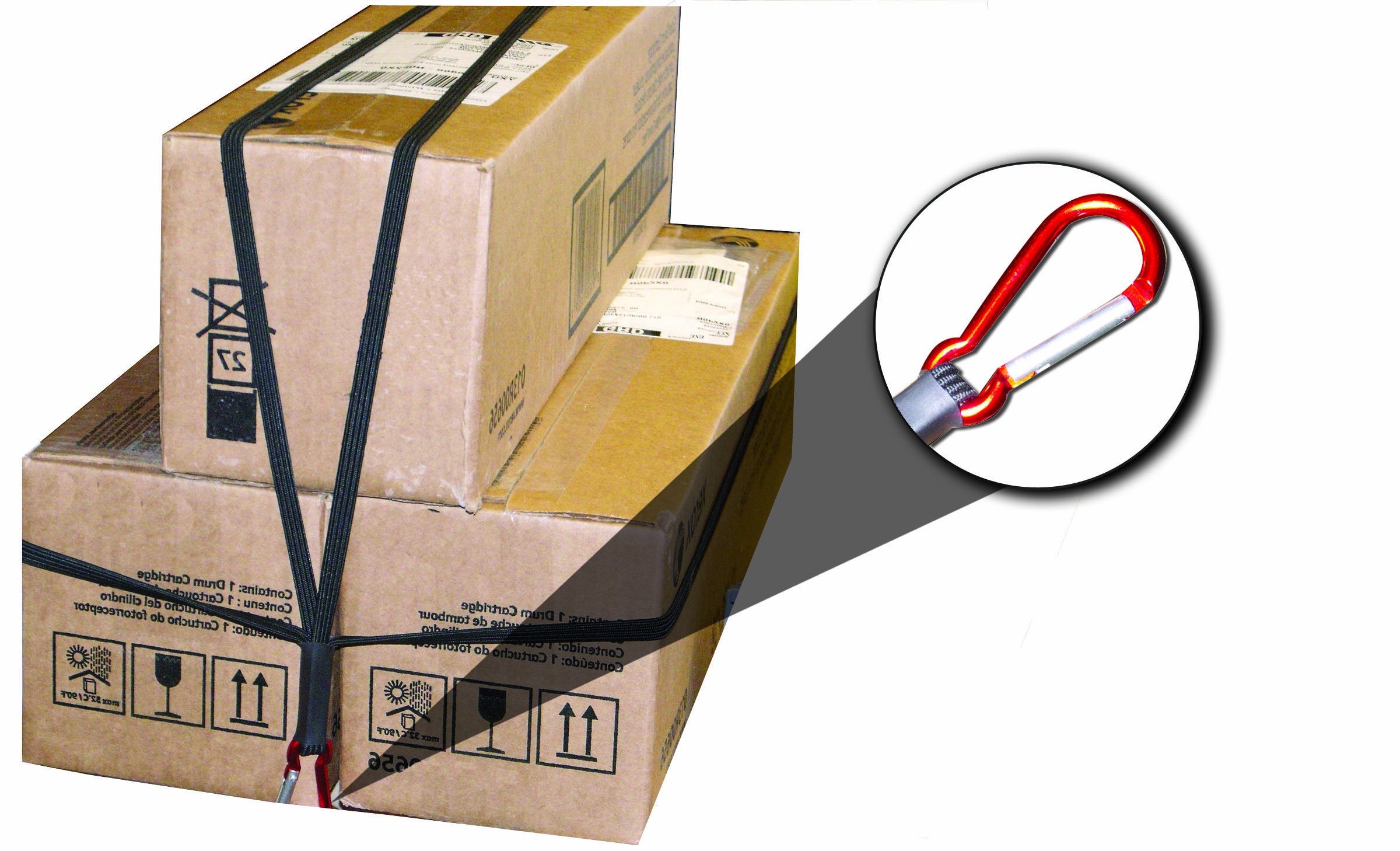 24" Flat Stretch Cord Erickson with Carabiner Hooks