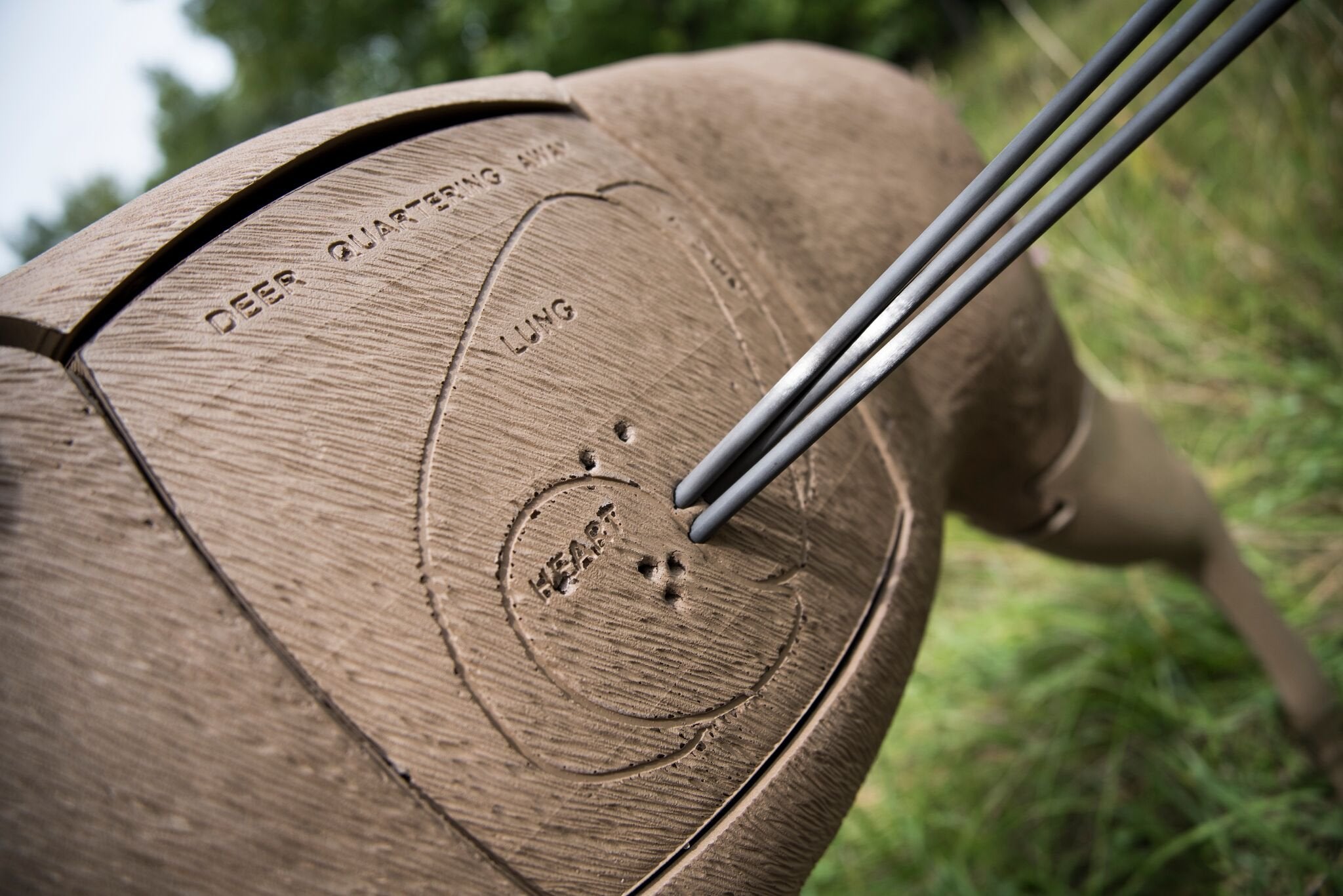 Pre-Rut GLENDEL Buck 3D Deer Archery Target with Replaceable 4-Sided Core Included, 250lb Life Size, Brown