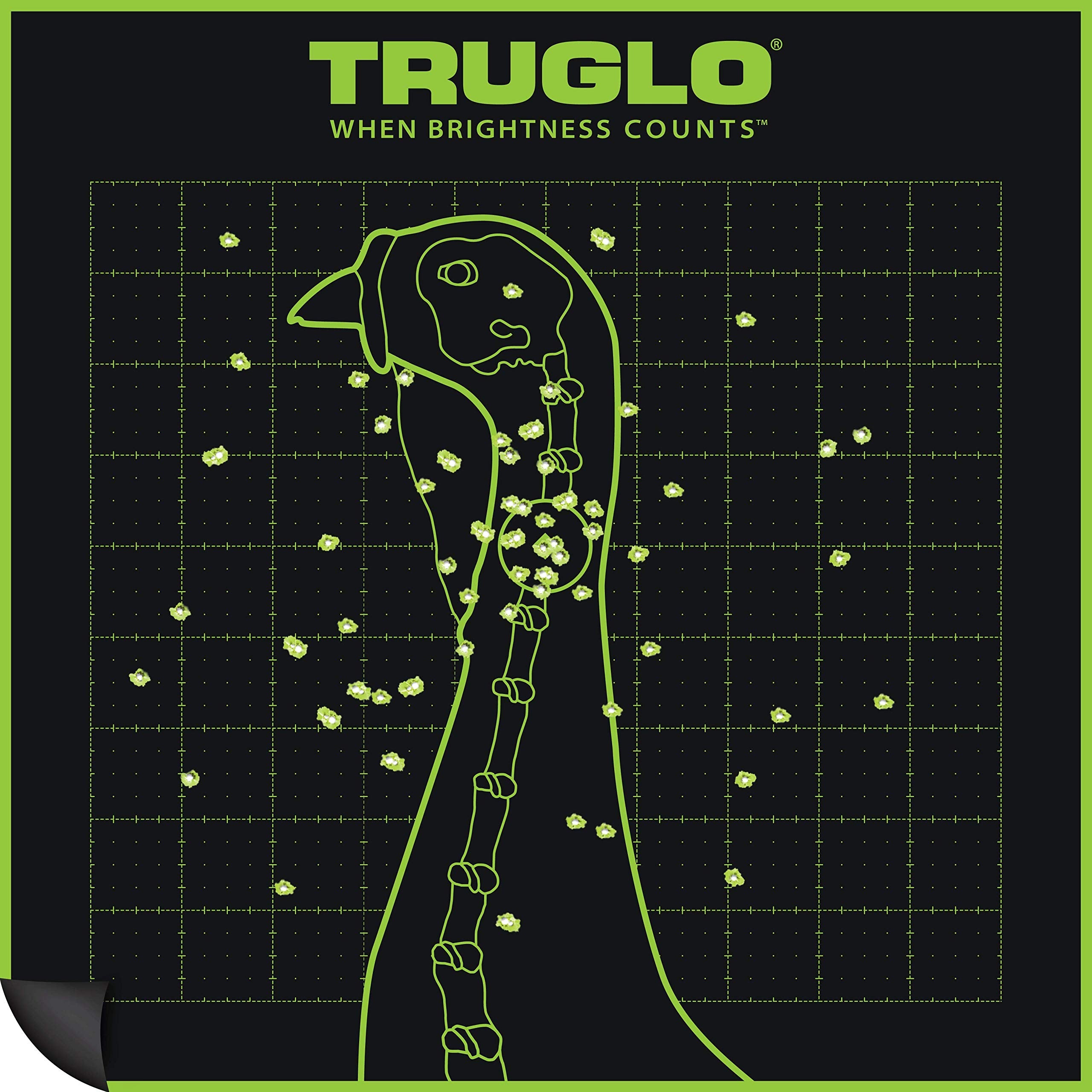 TRUGLO Turkey Target TRU-SEE 6-Pack, 12x12