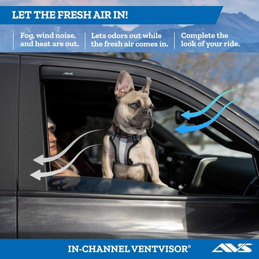 In-Channel Auto Ventshade [AVS] Rain Guards For 2001 - 2004 Toyota Hilux/Tacoma DOUBLE/EXT CAB ONLY | Window Vent Visors, 4 pcs. - Smoke | 194405