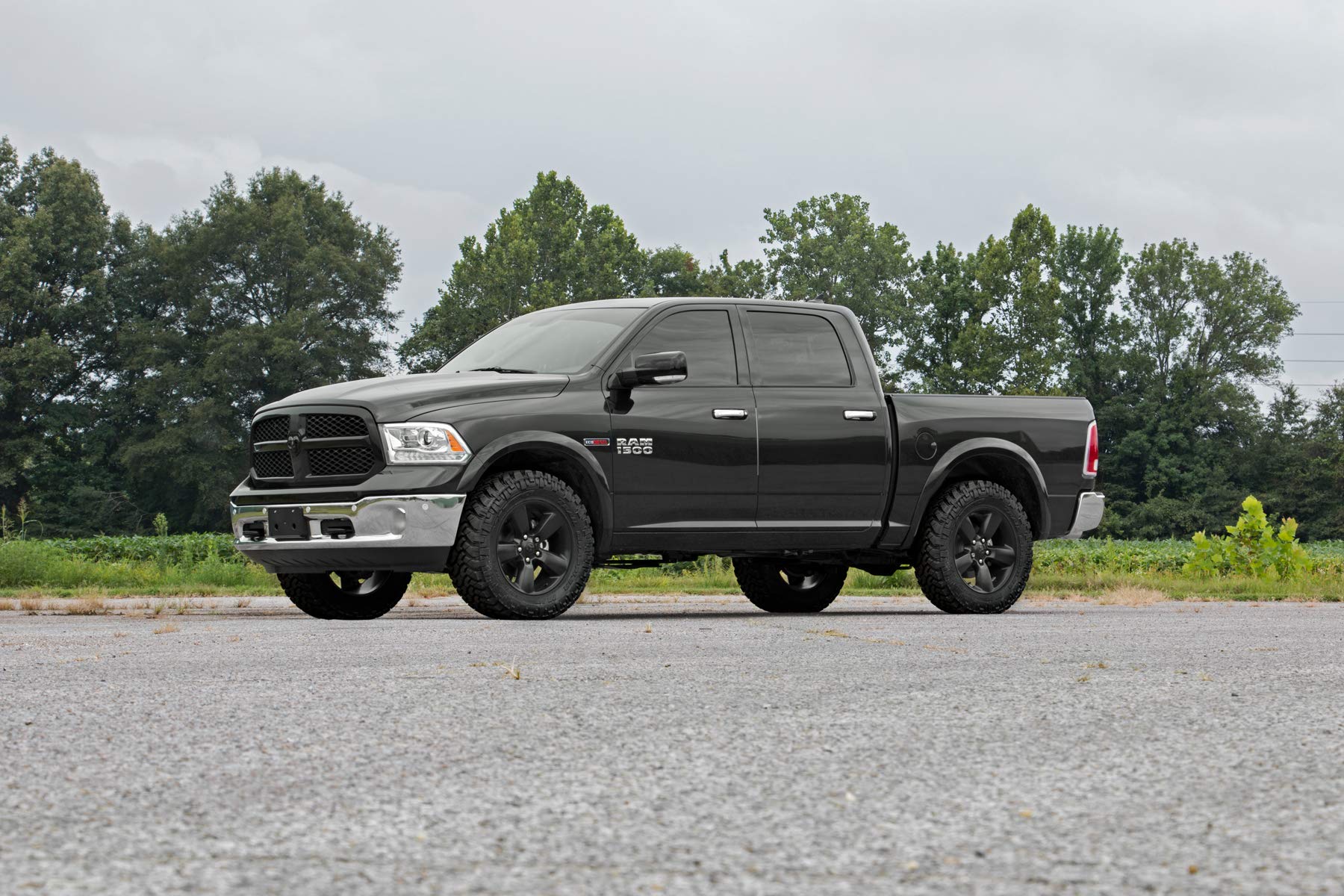 Rough Country 2.5" N3 Loaded Struts for 4WD 2009-2011 Ram Truck 1500 - 501025