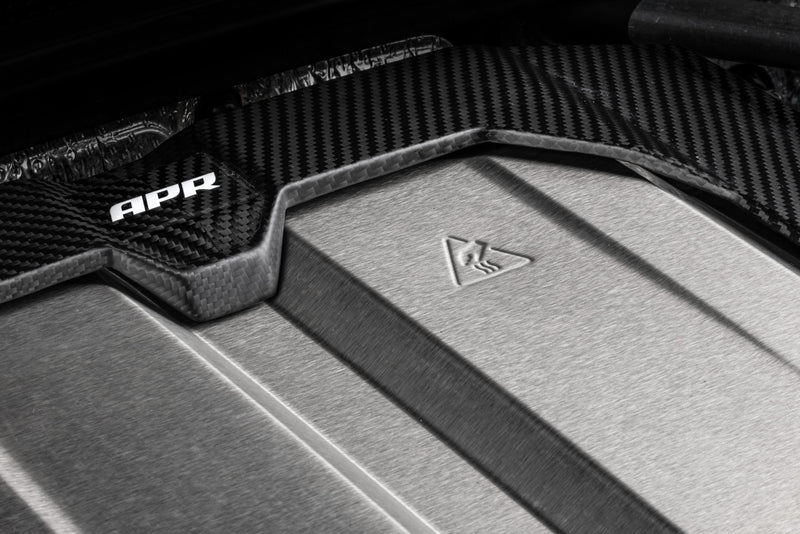 Carbon Fiber APR MS100253 Engine Cover