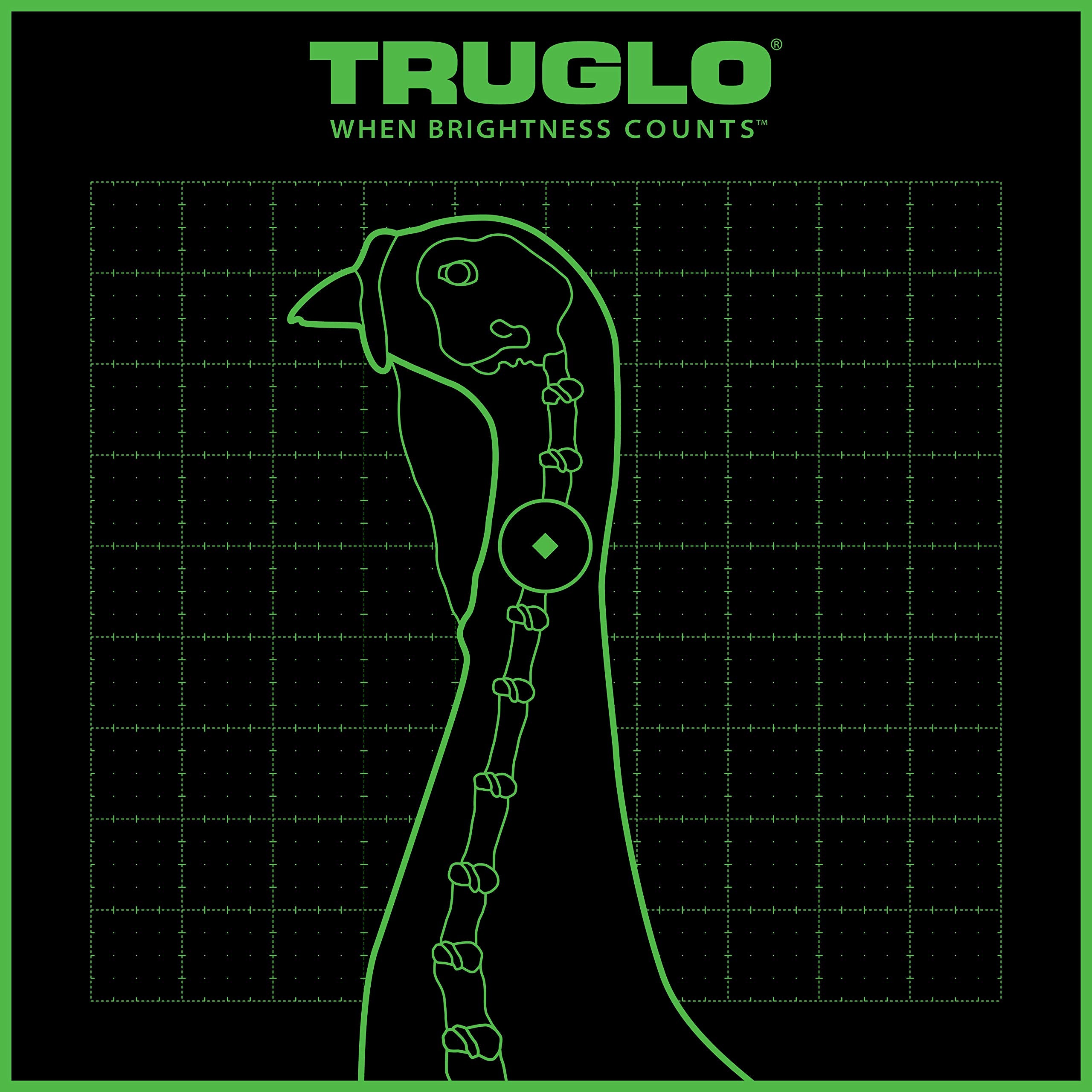 TRUGLO Turkey Target TRU-SEE 6-Pack, 12x12