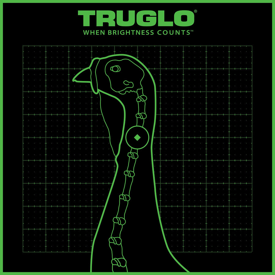TRUGLO Turkey Target TRU-SEE 6-Pack, 12x12