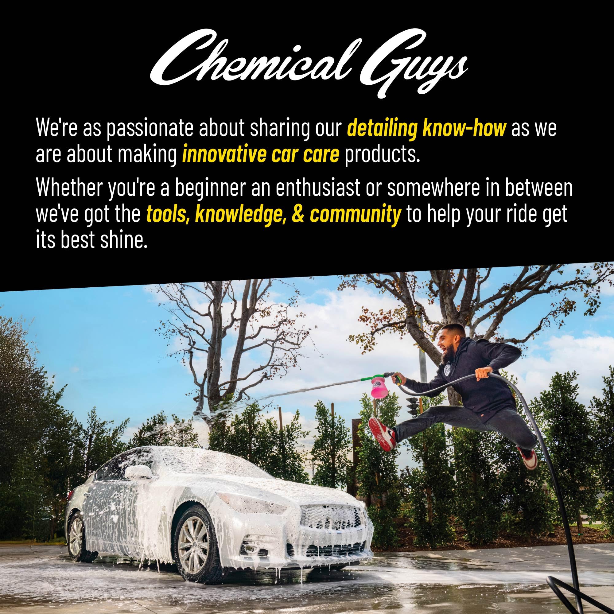 Chemical Guys Signature Scent AIR_069_16 Premium Air Freshener and Odor Eliminator, Smell of Success (Great for Cars, Trucks, SUVs, RVs, Home, Office & More) 16 fl oz