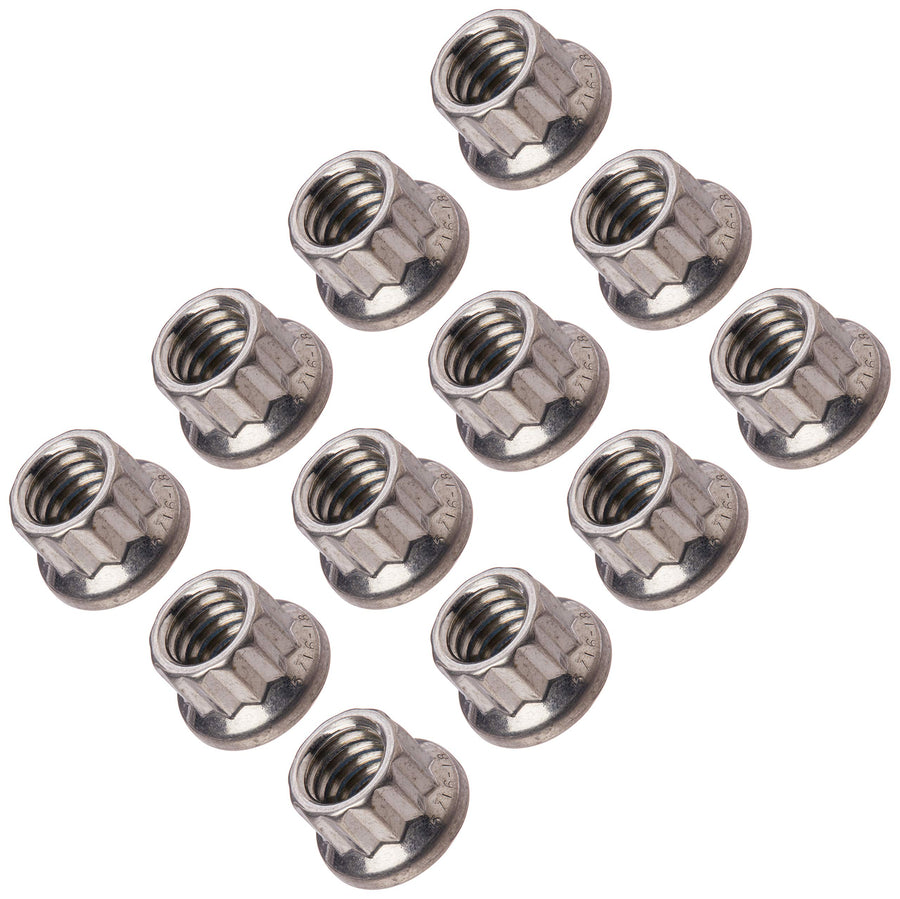 Nut Kit ARP 401-8343 (5/16-18 SS 12pt nut)