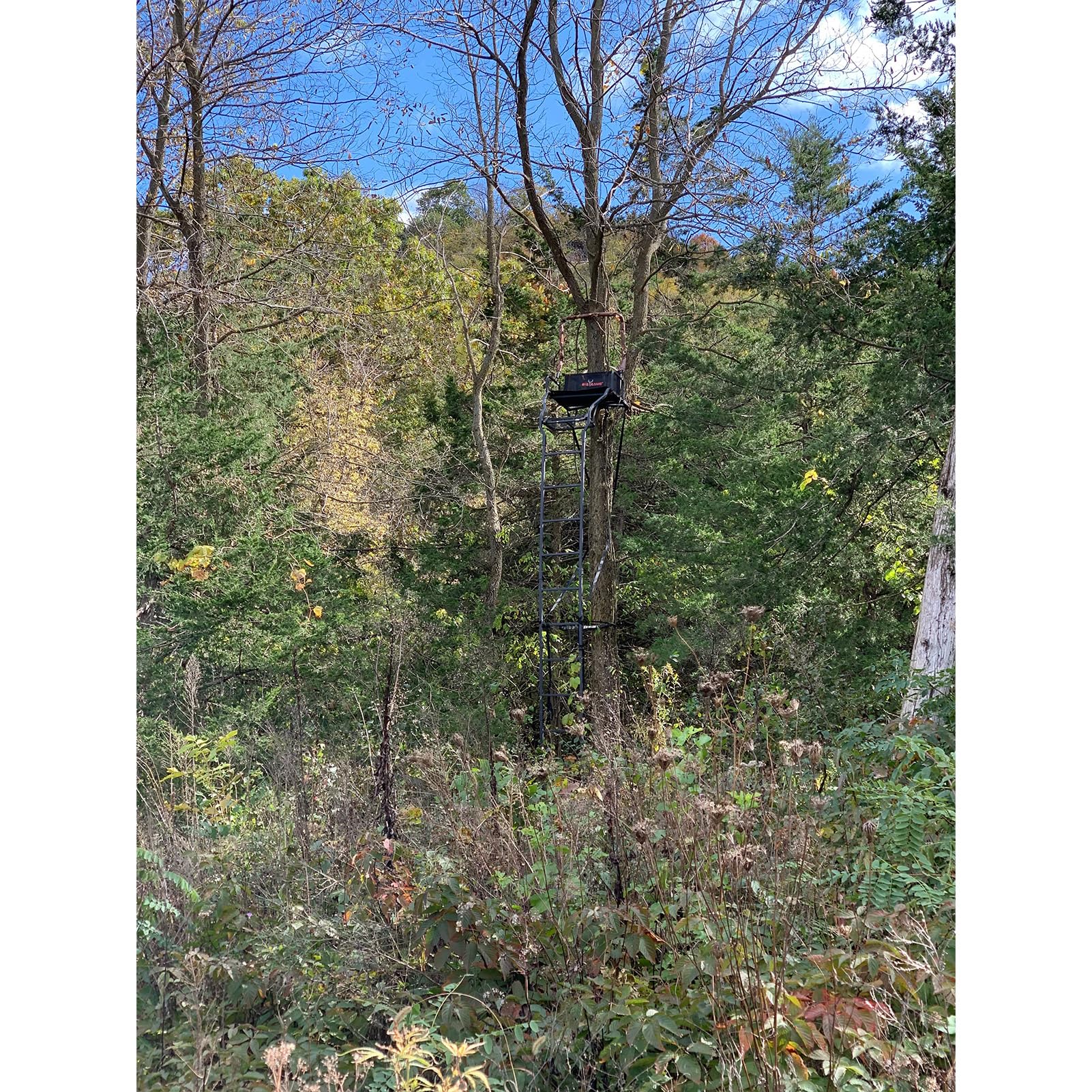 Warrior Elite Big Game Ultra-Wide Ladder Whitetail Deer Elk Mule Above Hunting Outdoors Flex-Tek Seat 17' Tall 1-Person Tree Stand