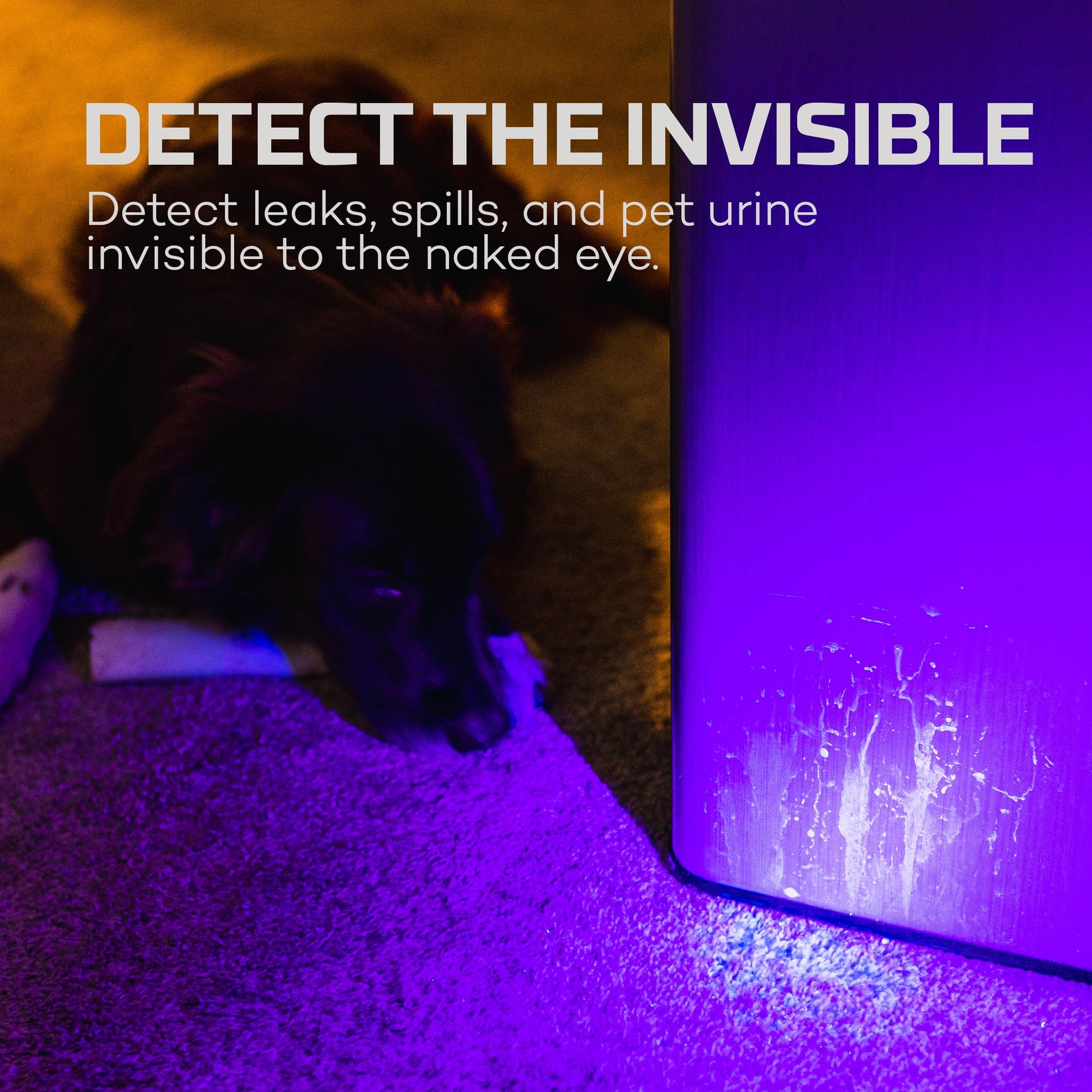 NEBO UV Torchy and Black Light, Dual UVA Technology for Detection, Inspection, and Authentication