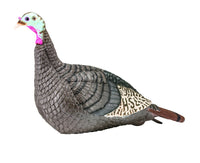 Strut-Lite Hen Decoy, Hunters Specialties 100001,Brown