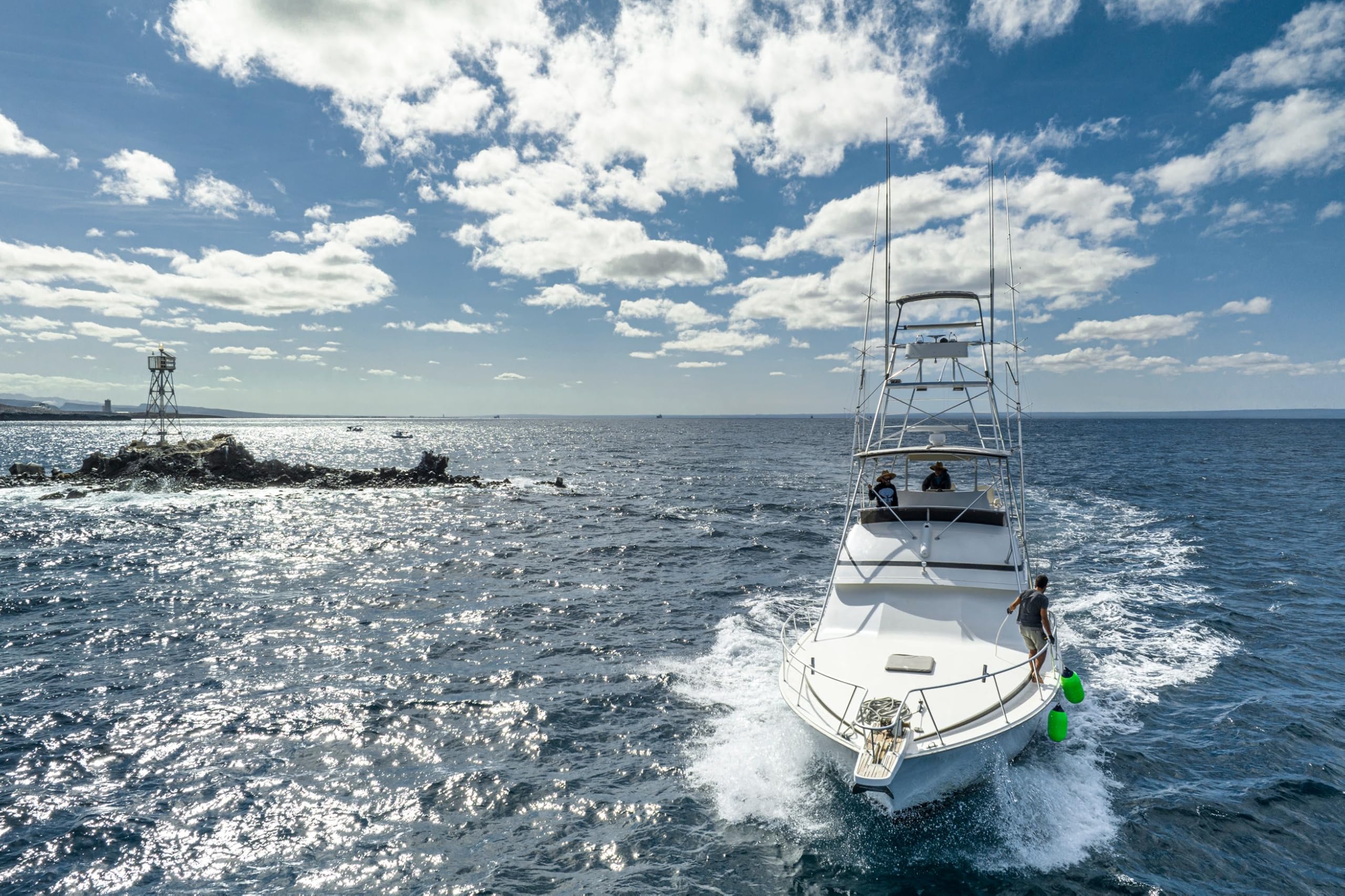 Polyform LD-4 Standard Blue Ropehold - Green Low Drag Buoy LD-Series
