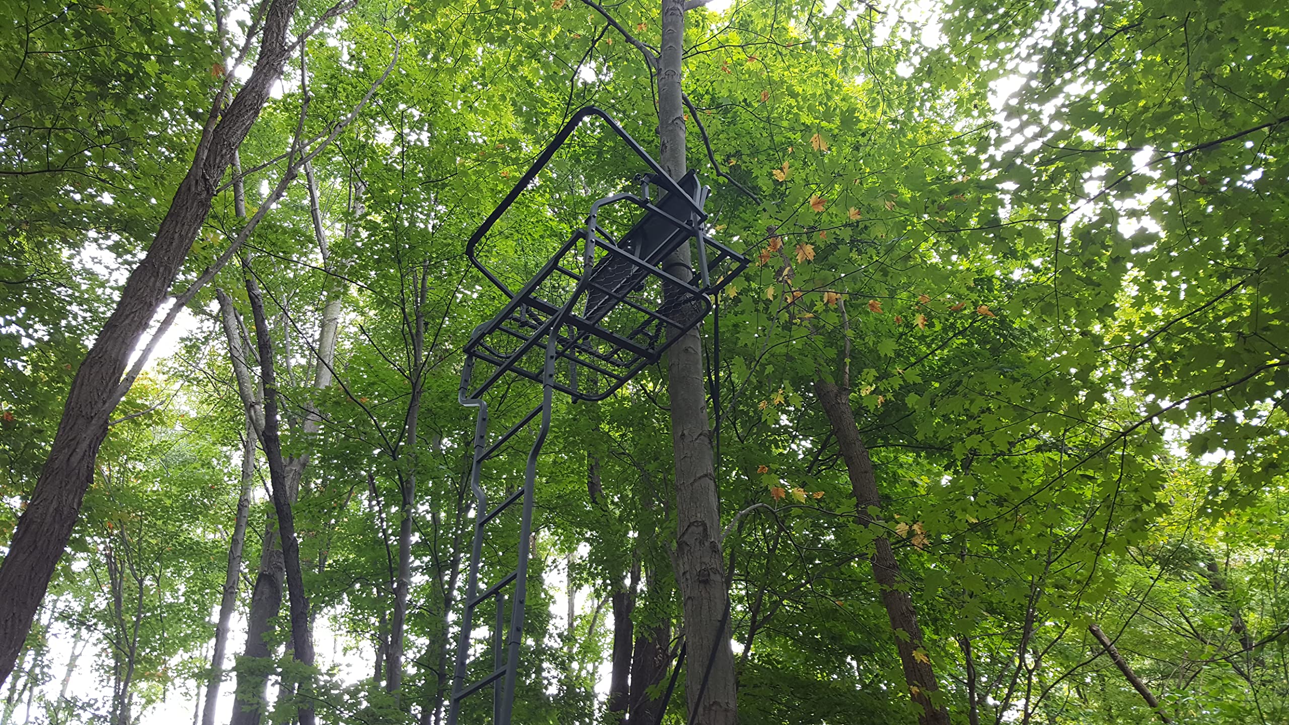 Assassin Ol'Man TREESTANDS 18’ Dual Ladder Stand with Millennium Style ComfortMax Seat
