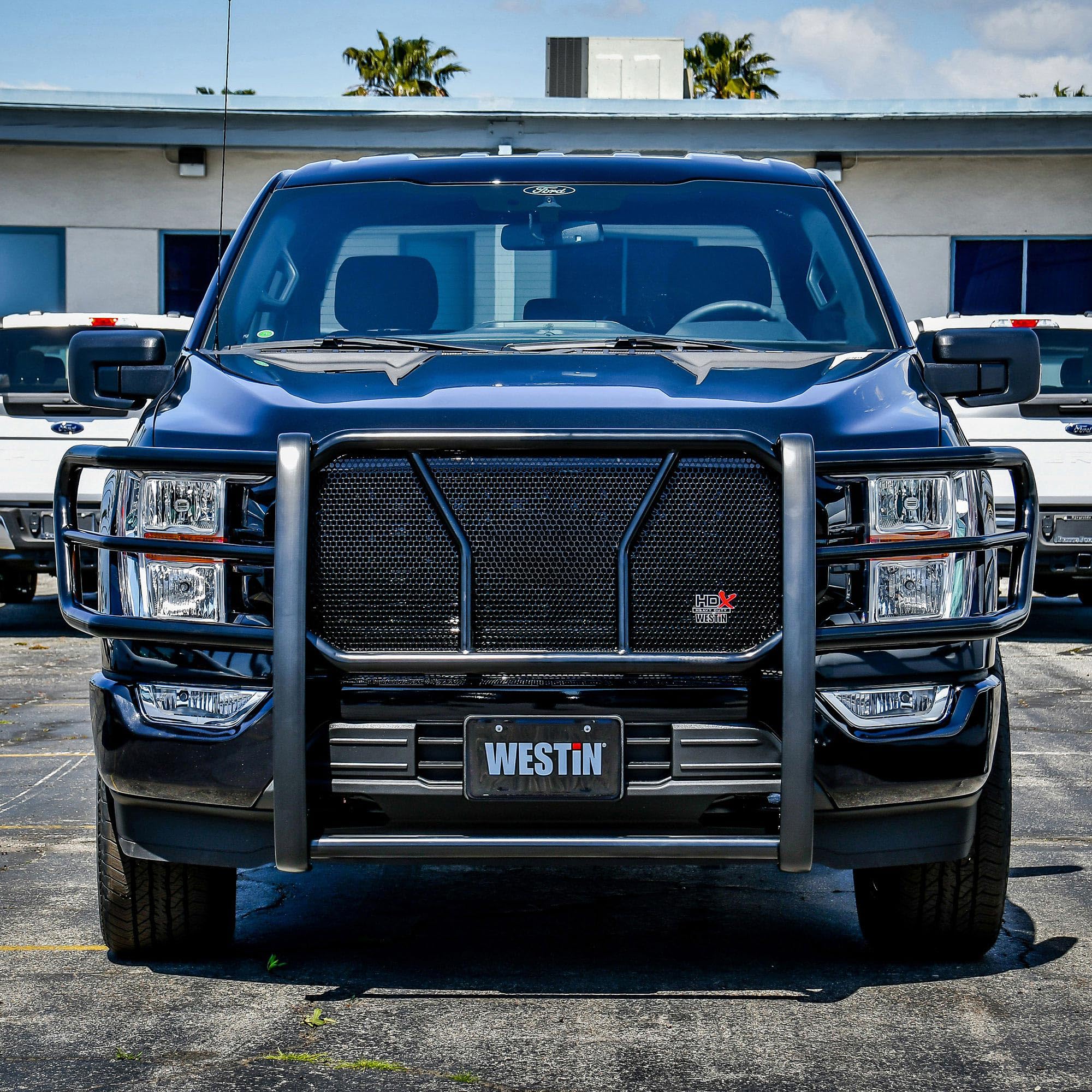 HDX WESTIN Grille Guard