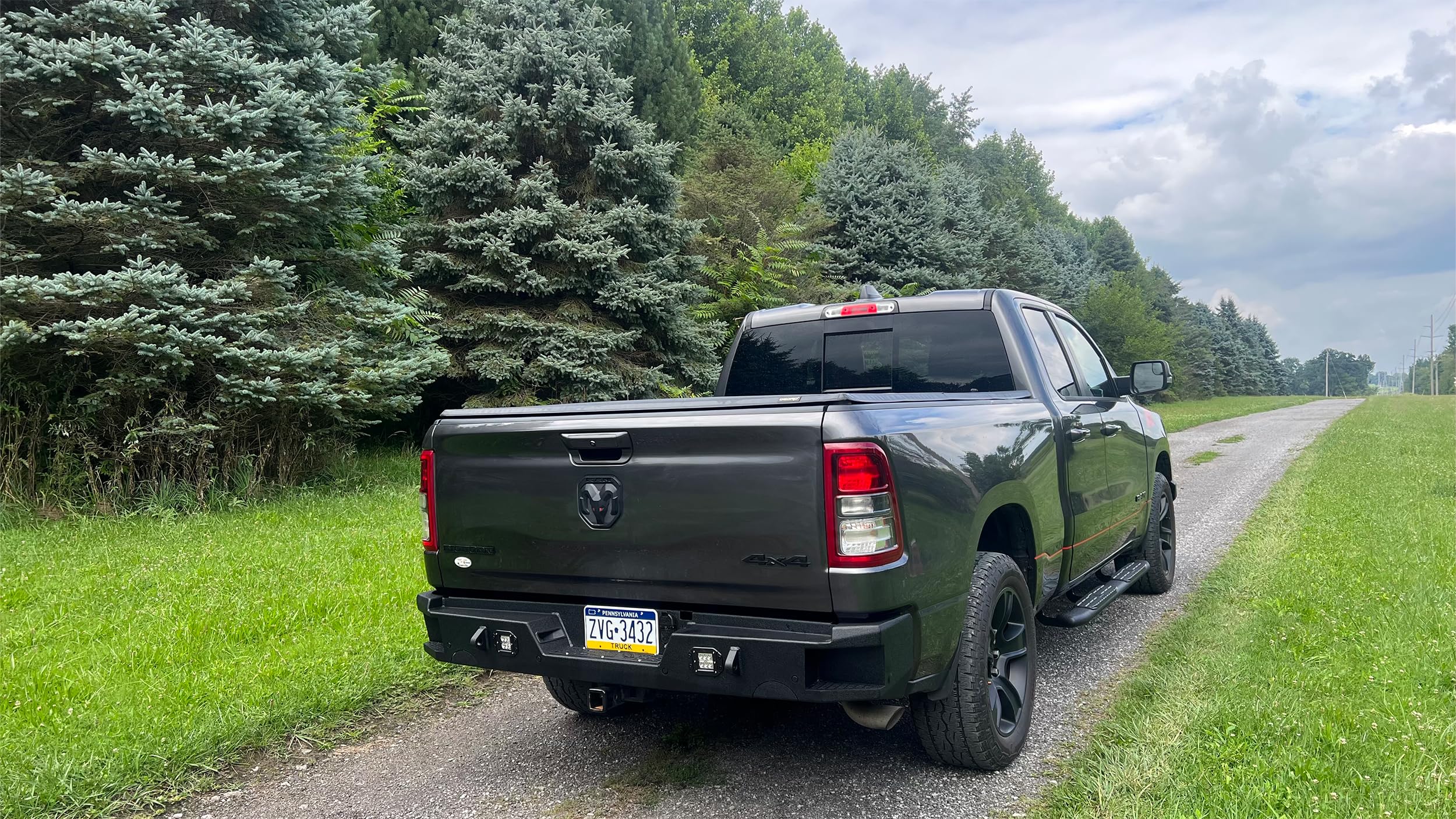 Rear Fishbone FB22399 Bumper