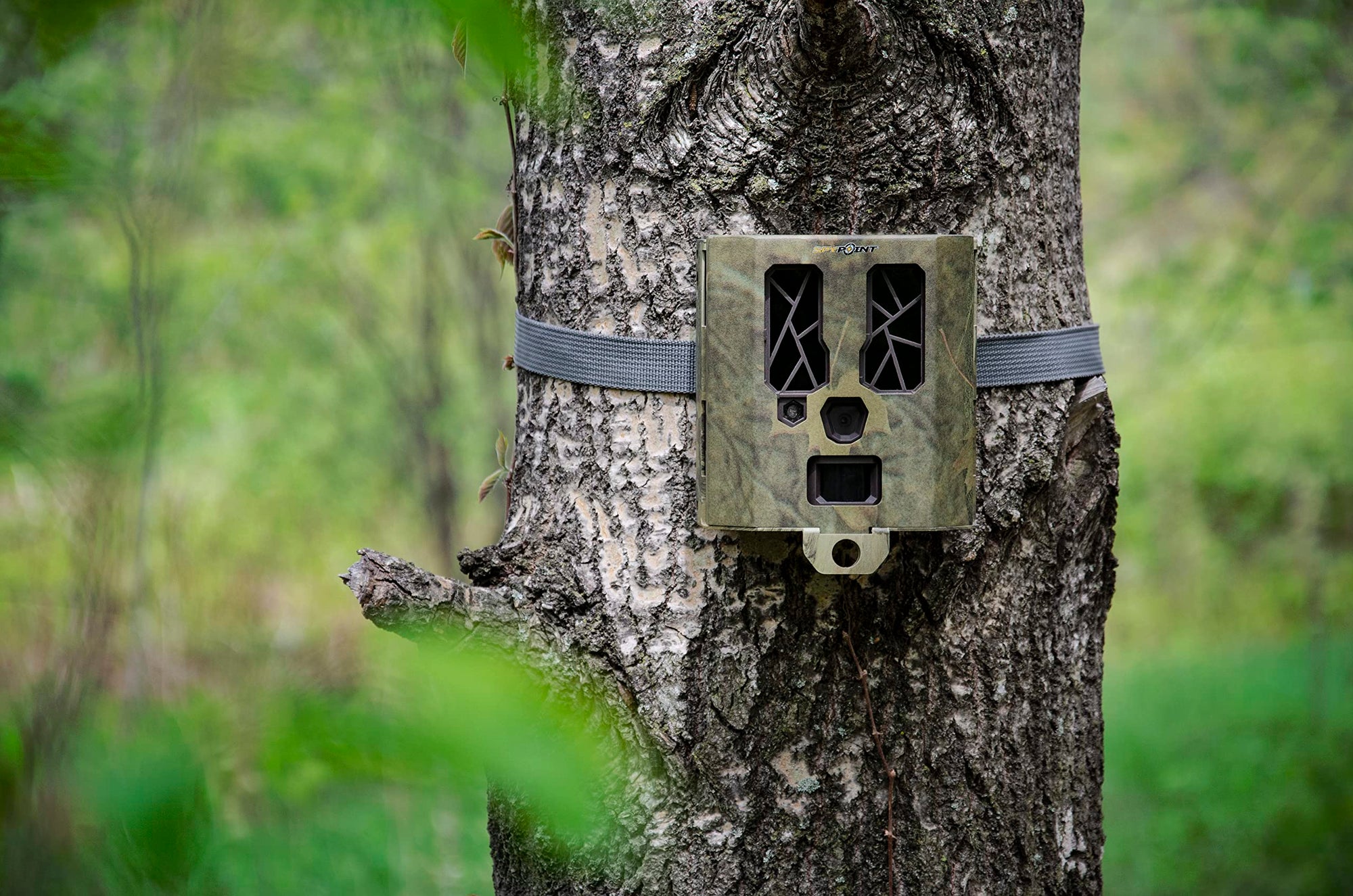 SpyPoint SB-400 Trail Cameras Cellular Security Box 48-LED Cameras | Protective Heavy Duty Steel Case | Weather & Animal Resistant Trail Camera Box