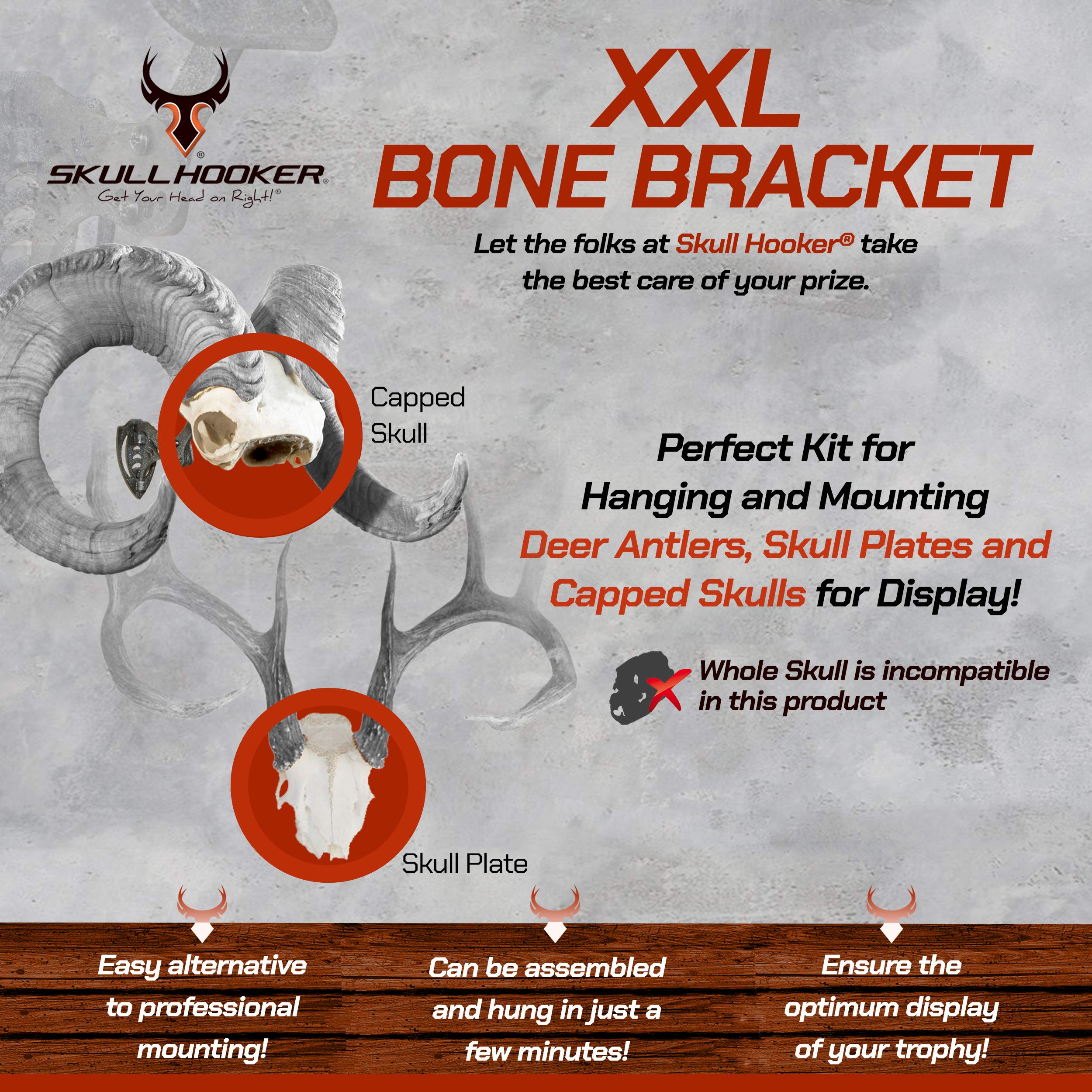 Skull Hooker XXL Bone Bracket Powder-Coated Steel – Designed to Accommodate the Skull Plates of Antlered and Horned Species Such as Elk, Caribou, Buffalo, Moose and Heavy-Horned Sheep, Graphite Black