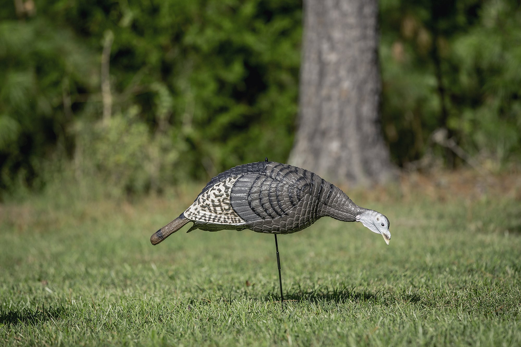 HUNTERS SPECIALTIES Lite HS Strut Feeding Hen Turkey Foldable Hollow Relaxed Body Realistic Decoy
