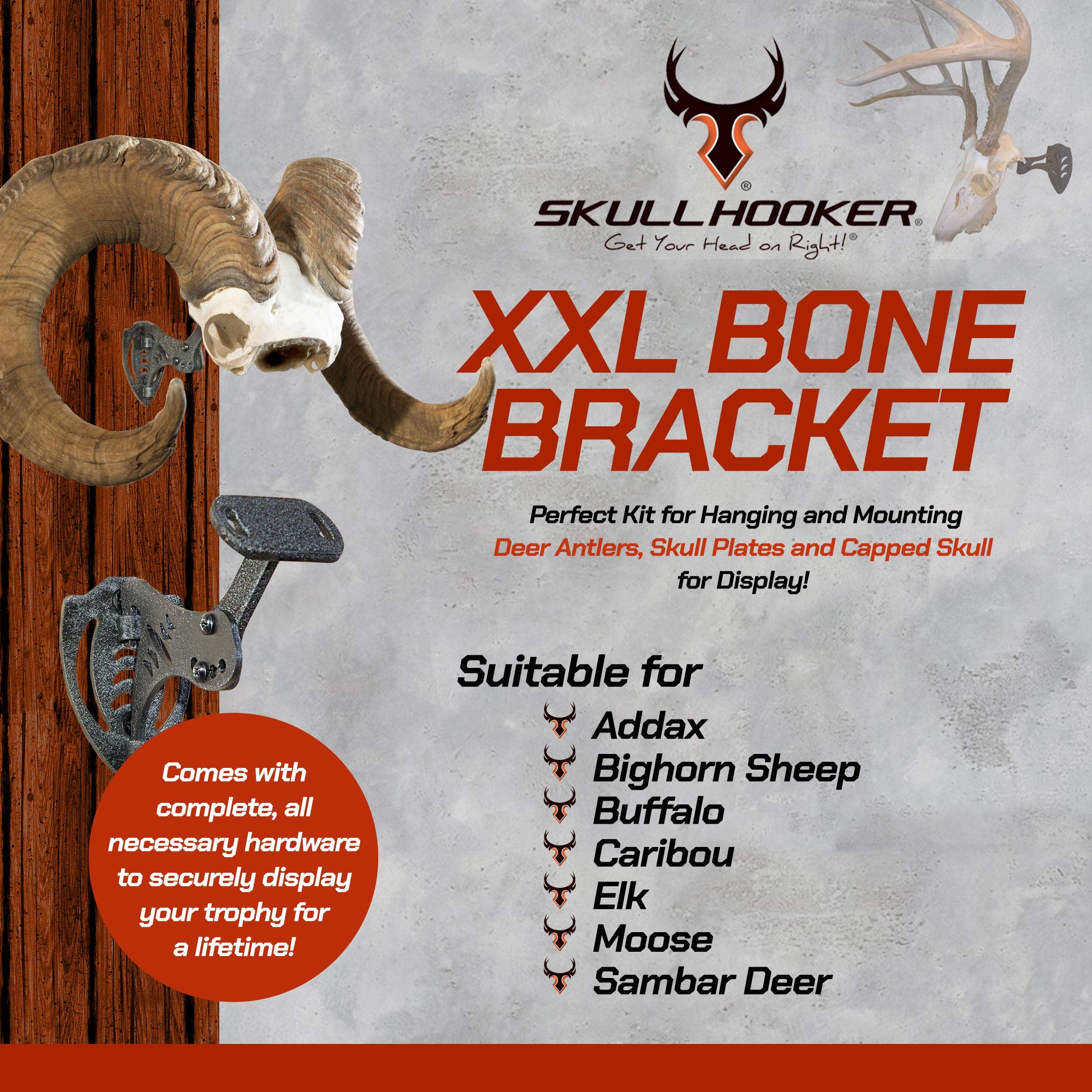 Skull Hooker XXL Bone Bracket Powder-Coated Steel – Designed to Accommodate the Skull Plates of Antlered and Horned Species Such as Elk, Caribou, Buffalo, Moose and Heavy-Horned Sheep, Graphite Black