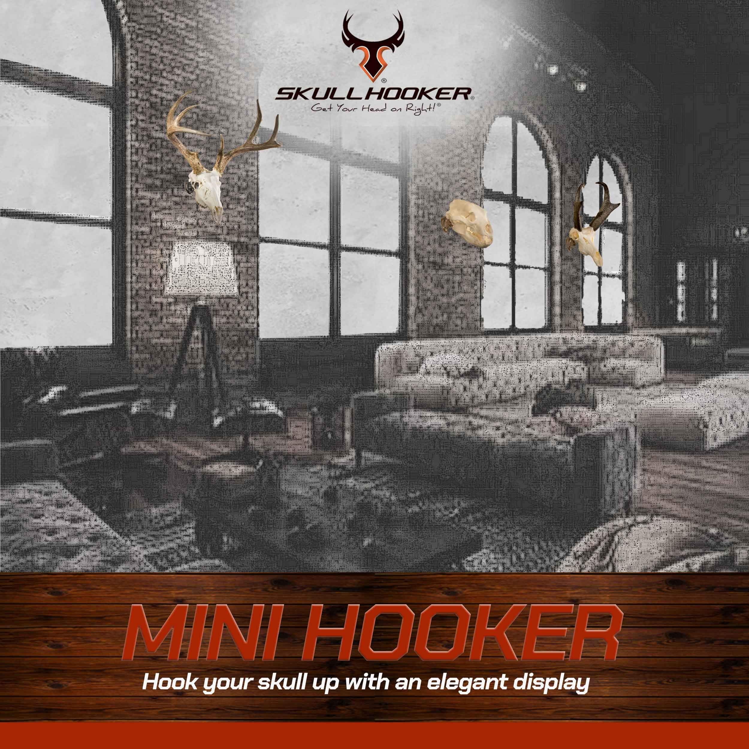 Skull Hooker Skull Hanger Mini Hooker - Perfect Kit for Hanging and Mounting Taxidermy Bear, Small Deer, Pronghorn, and Other Smaller Skulls for Display, Graphite Black